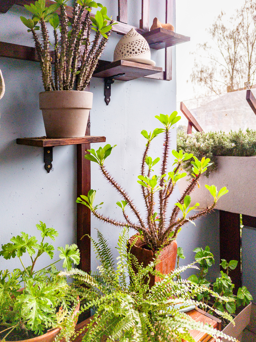 用绿植和自然元素为家居注入生机与活力