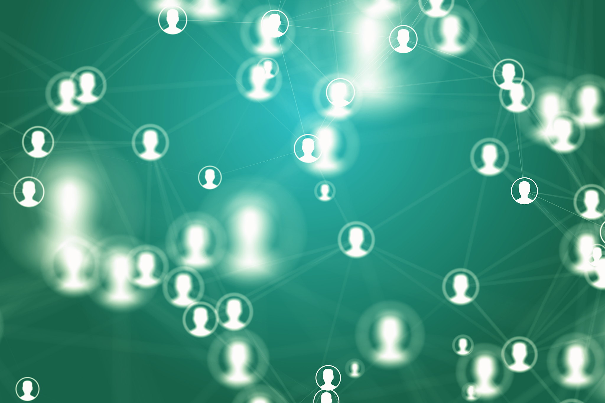 social network
