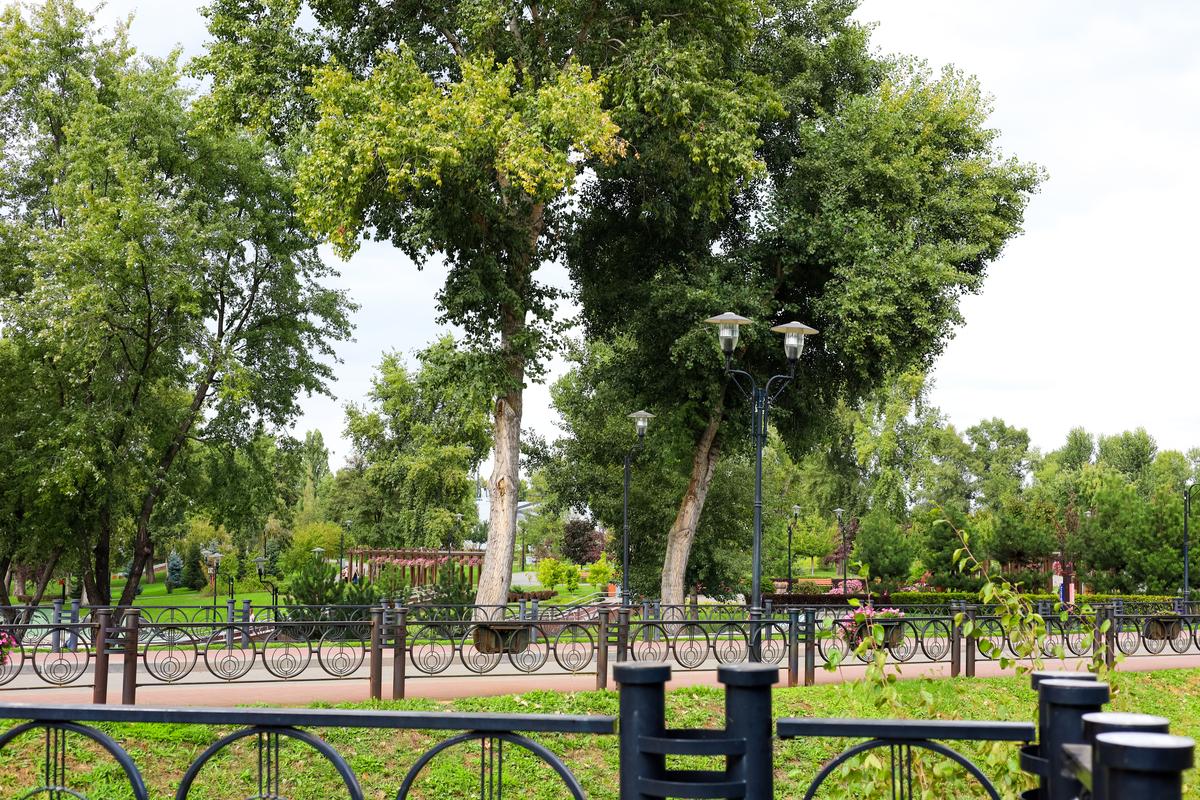 论述乡土植物在西安市兴庆公园中的应用调查自行添加乡土植物种类、数量和应用数据不少于1000字。