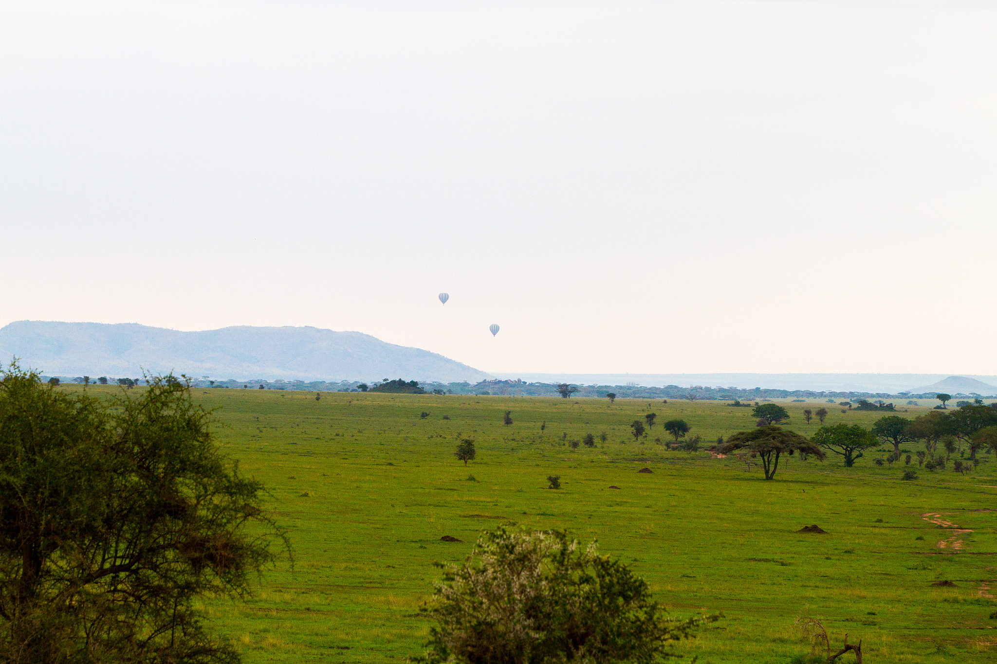 serengeti national park, tanzanian national park in the serenget