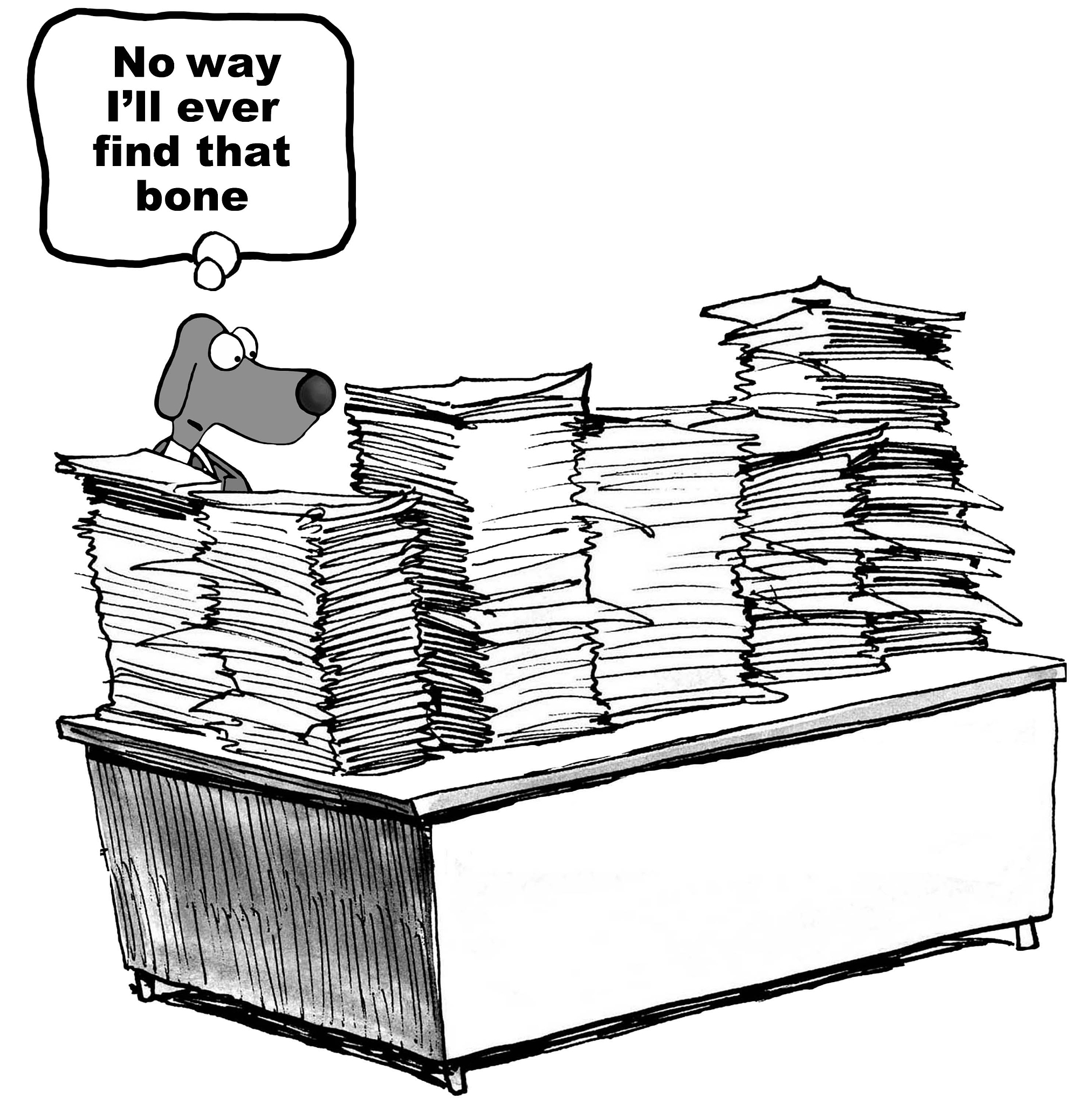 财务管理实习的填制会计凭证详细实习内容