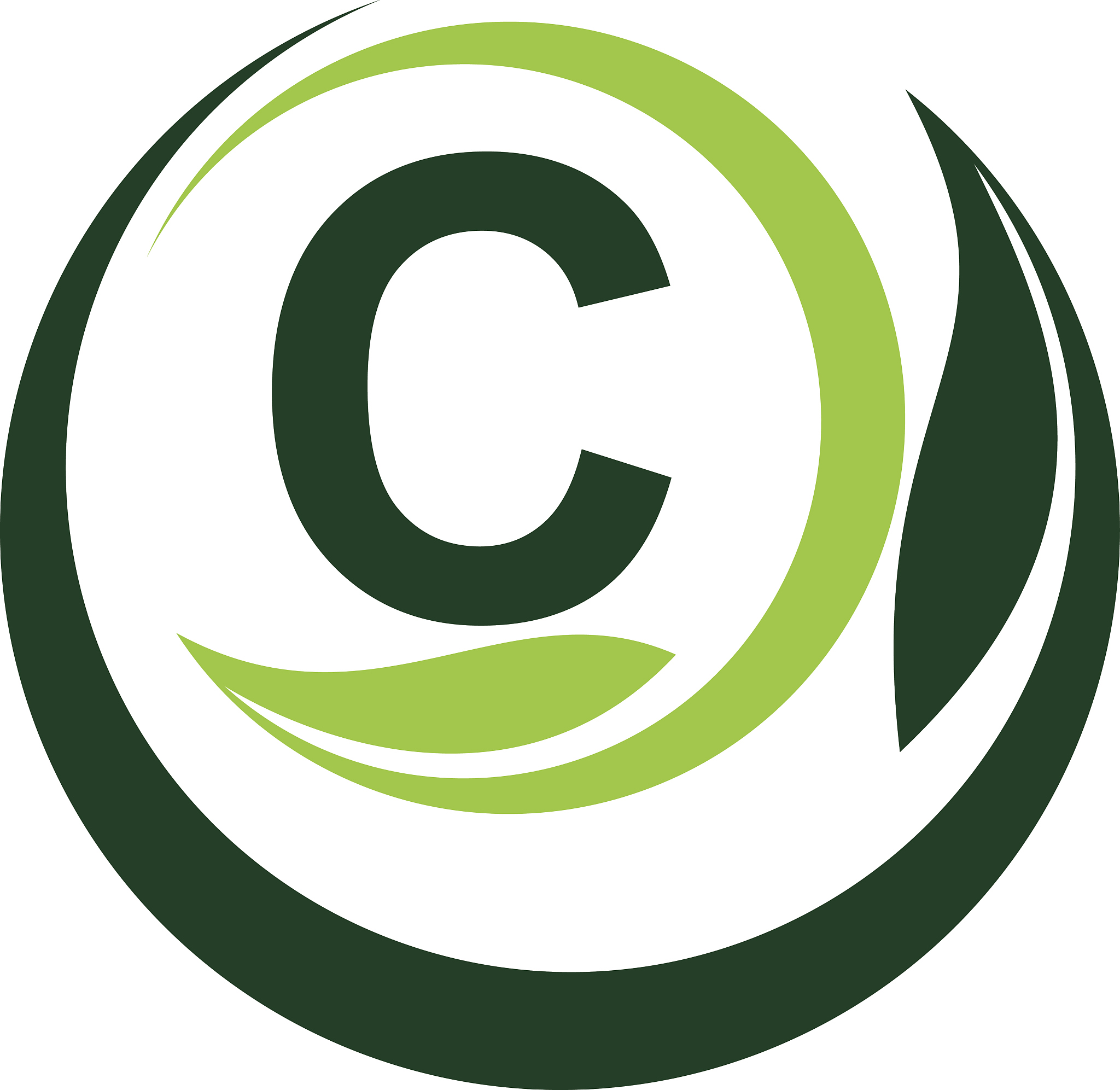 leaf motion initial c