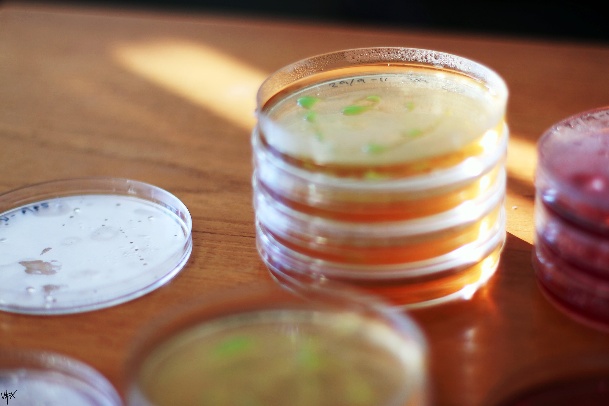 郑州轻工业学校2023年有什么专业怎么样