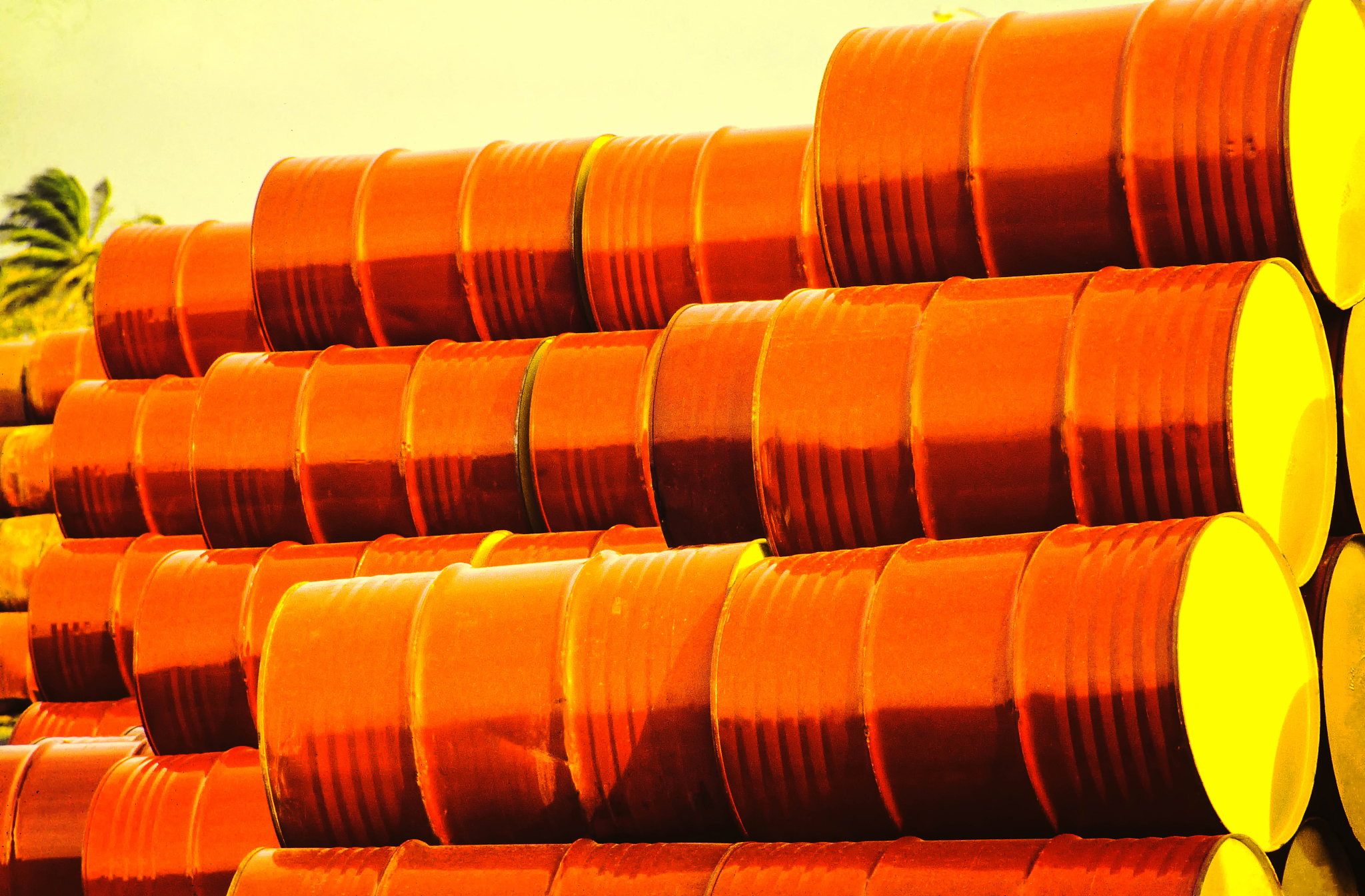 辽宁石油化工大学工商管理专业怎么样