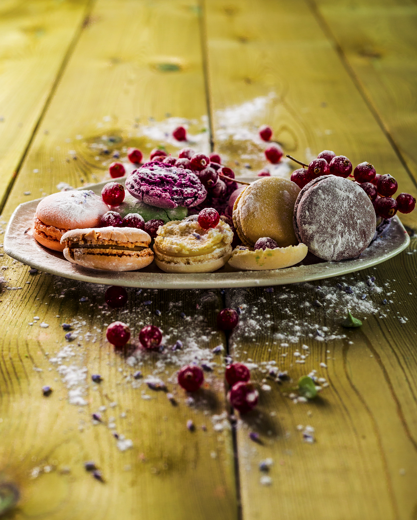 macarons macaroons with powder sugar