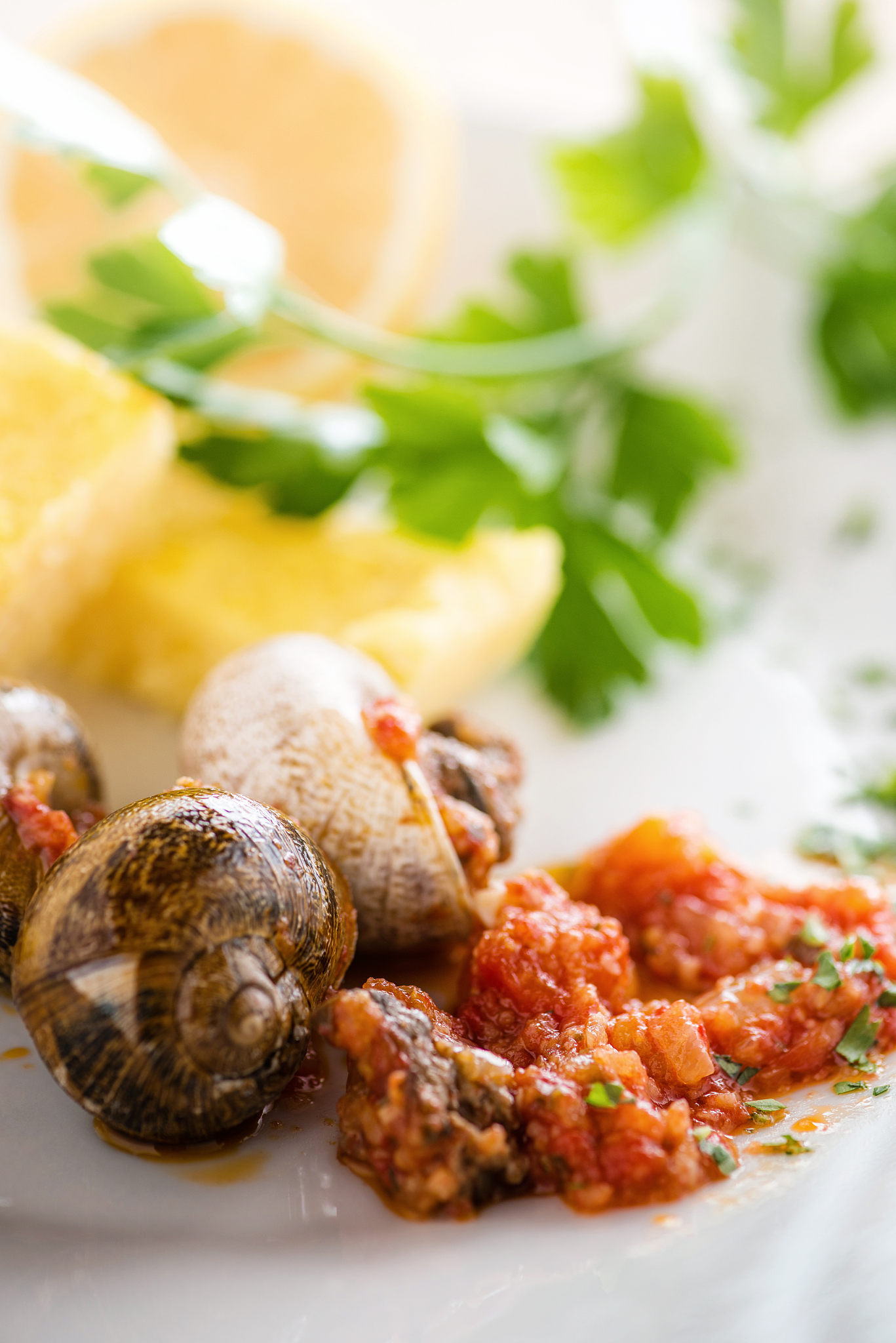 snails in tomato sauce
