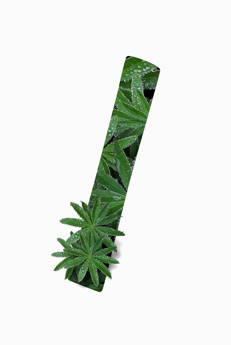 除法表示里面有几个几