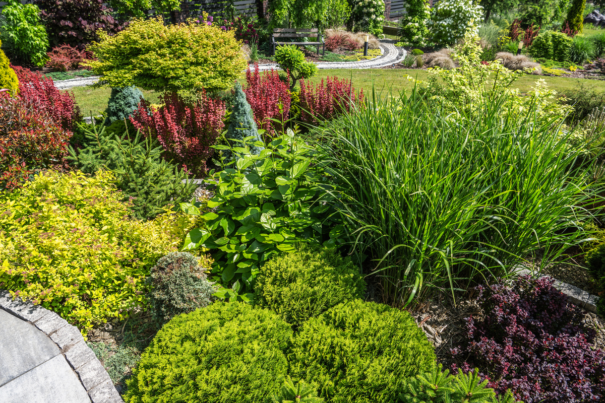 园林植物资源：打造美丽城市的关键