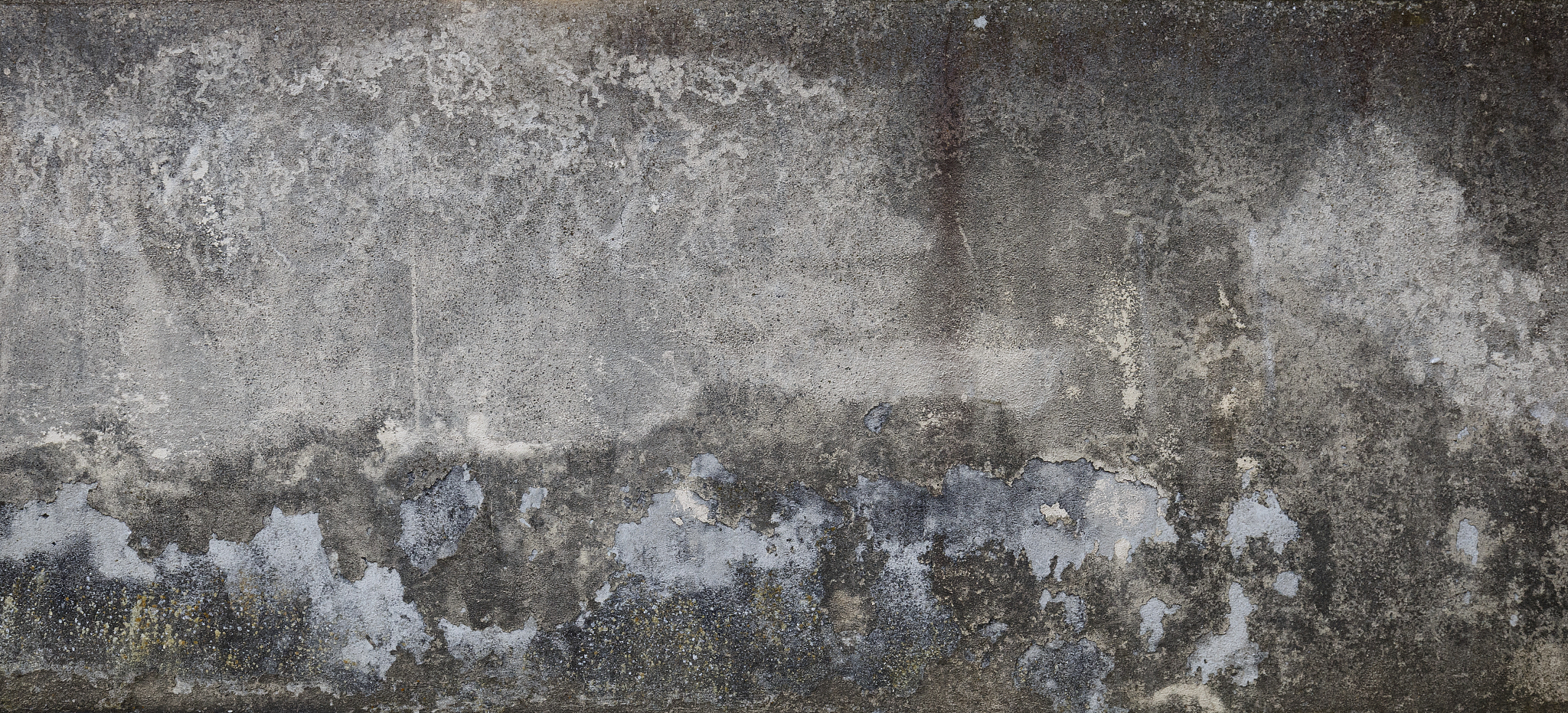 为什么有的大豆堆表面上长得微生物是白色的而表面以下往往是灰色的。他们分别是什么？