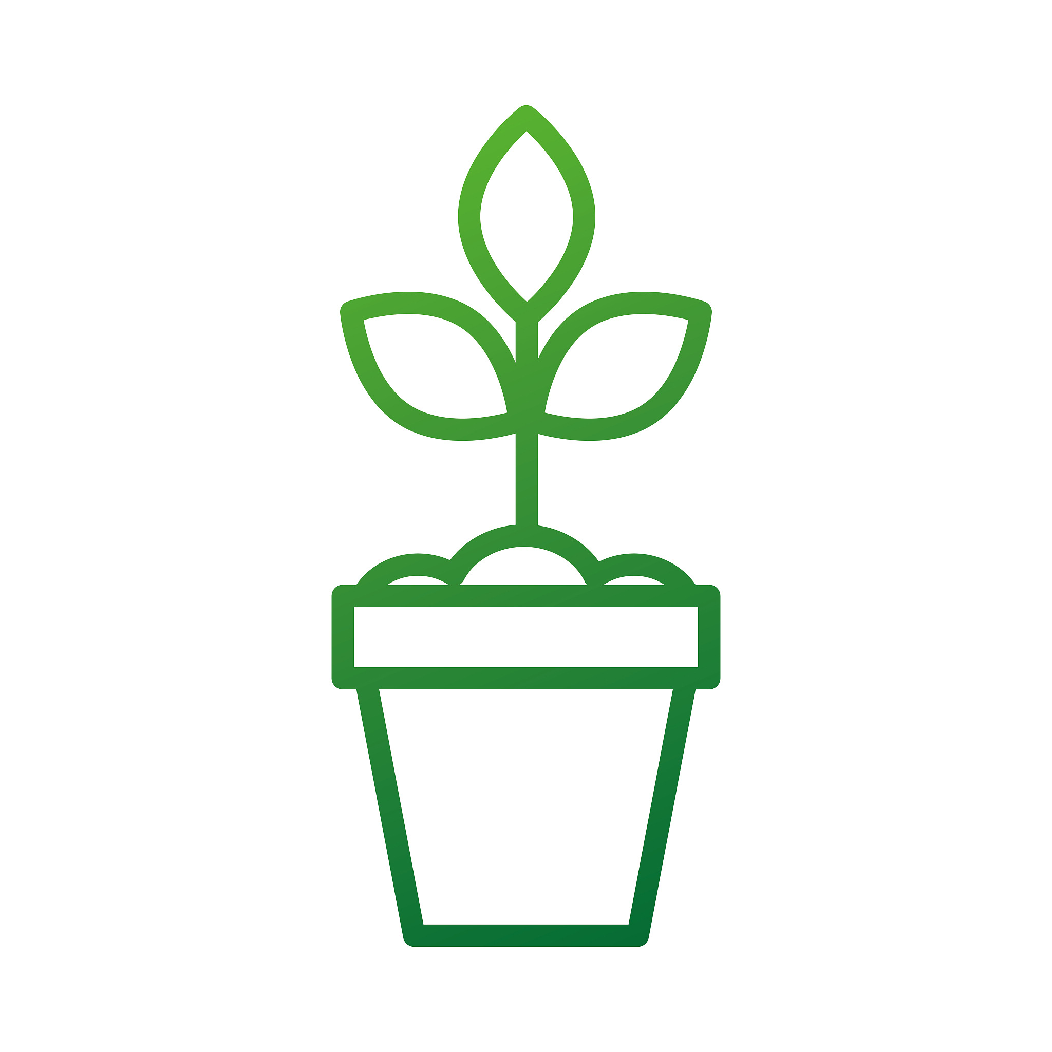 Planting Density's Impact on Yield, LAI, and Photosynthesis: Unveiling the Correlation for Optimized Management and Breeding
