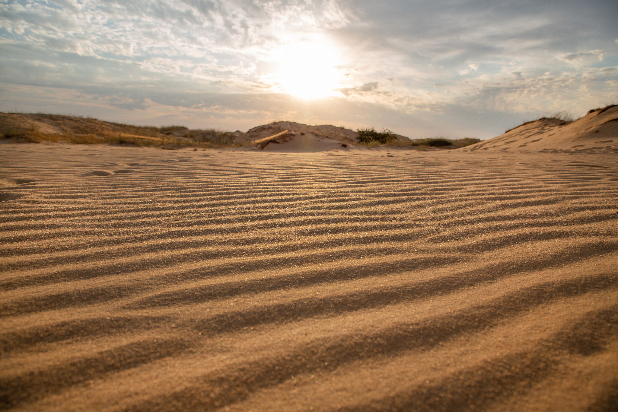 beautiful desert landscape with dunes. walk on a sunny day on th