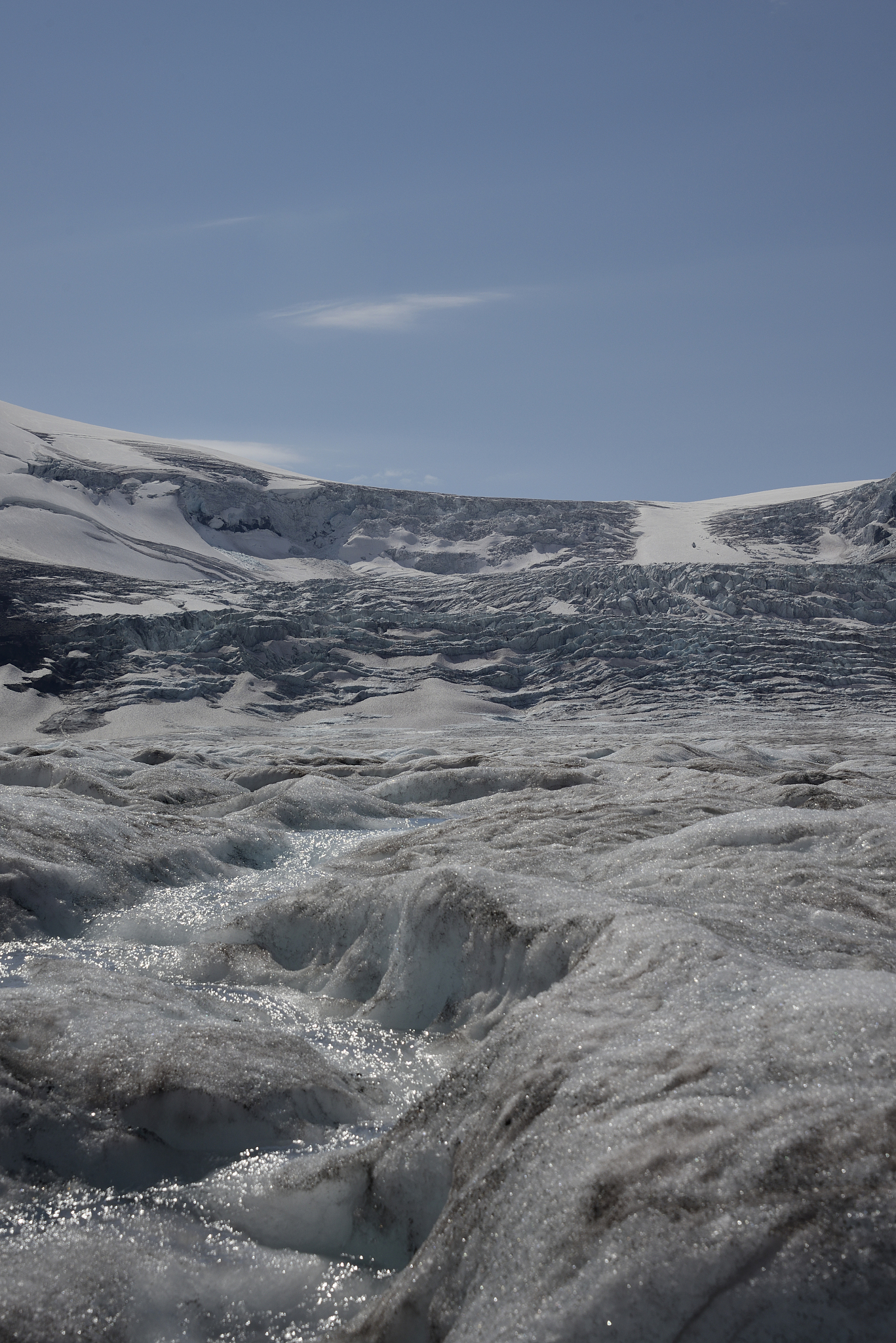 塔里木河流域陆地水储量变化的影响因素总结论文
