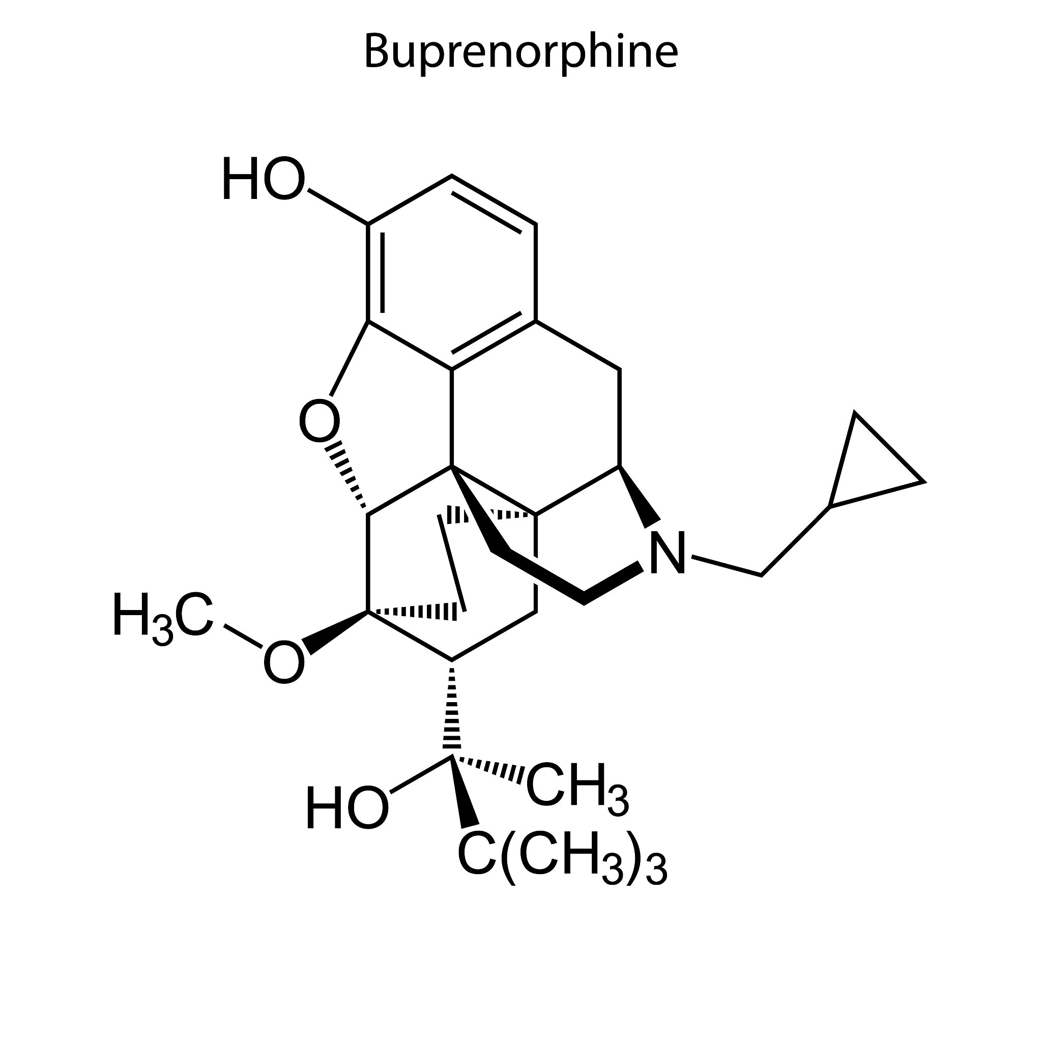 初中化学分子式必背：掌握基础，探究奥秘