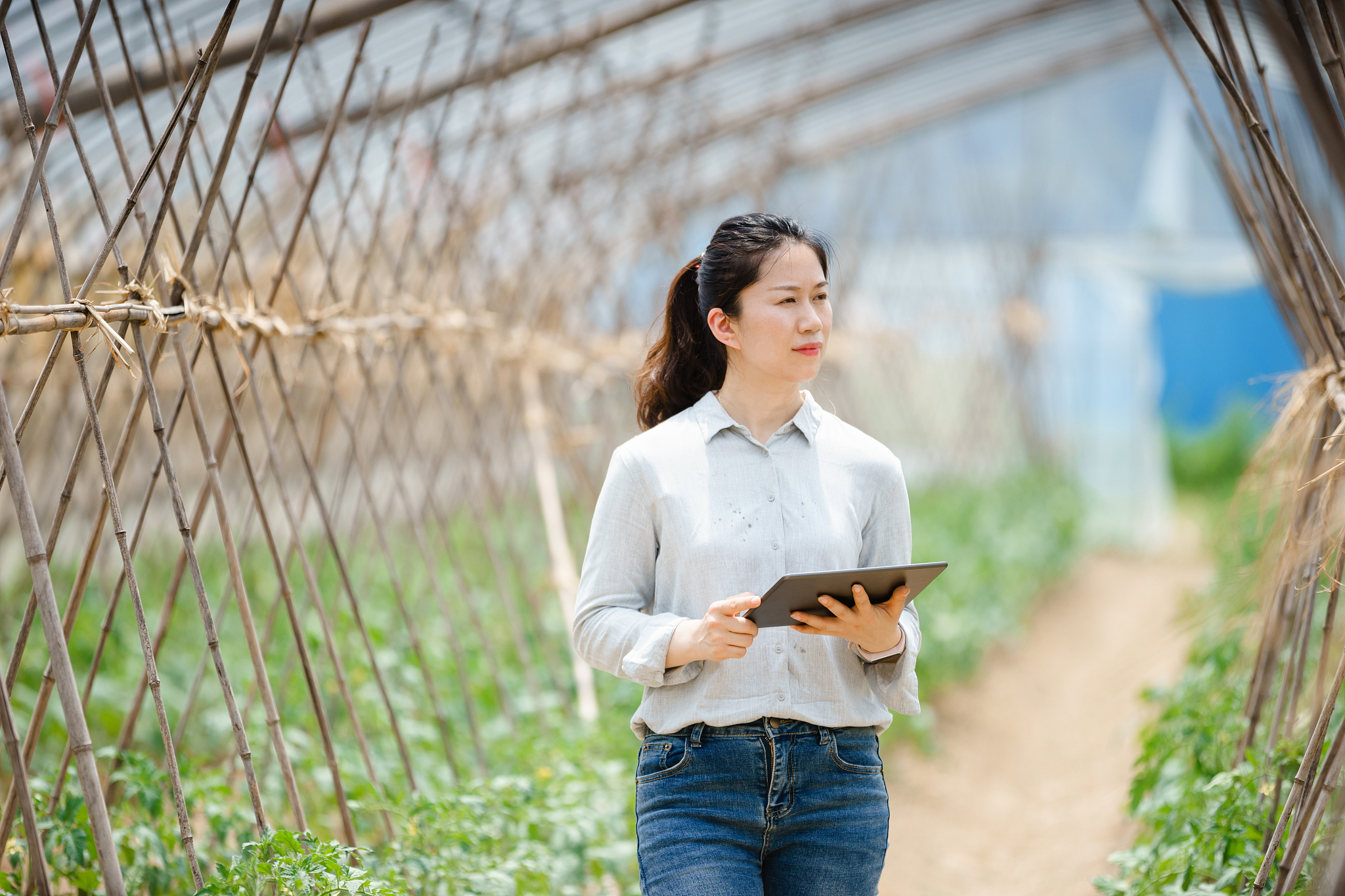 成都农业科技职业学院招生办电话是多少？联系方式查询