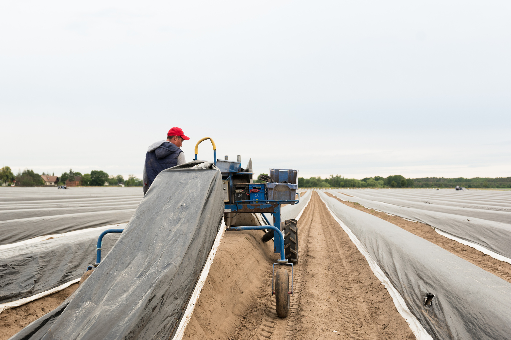 石家庄农业学校2021年招生简章