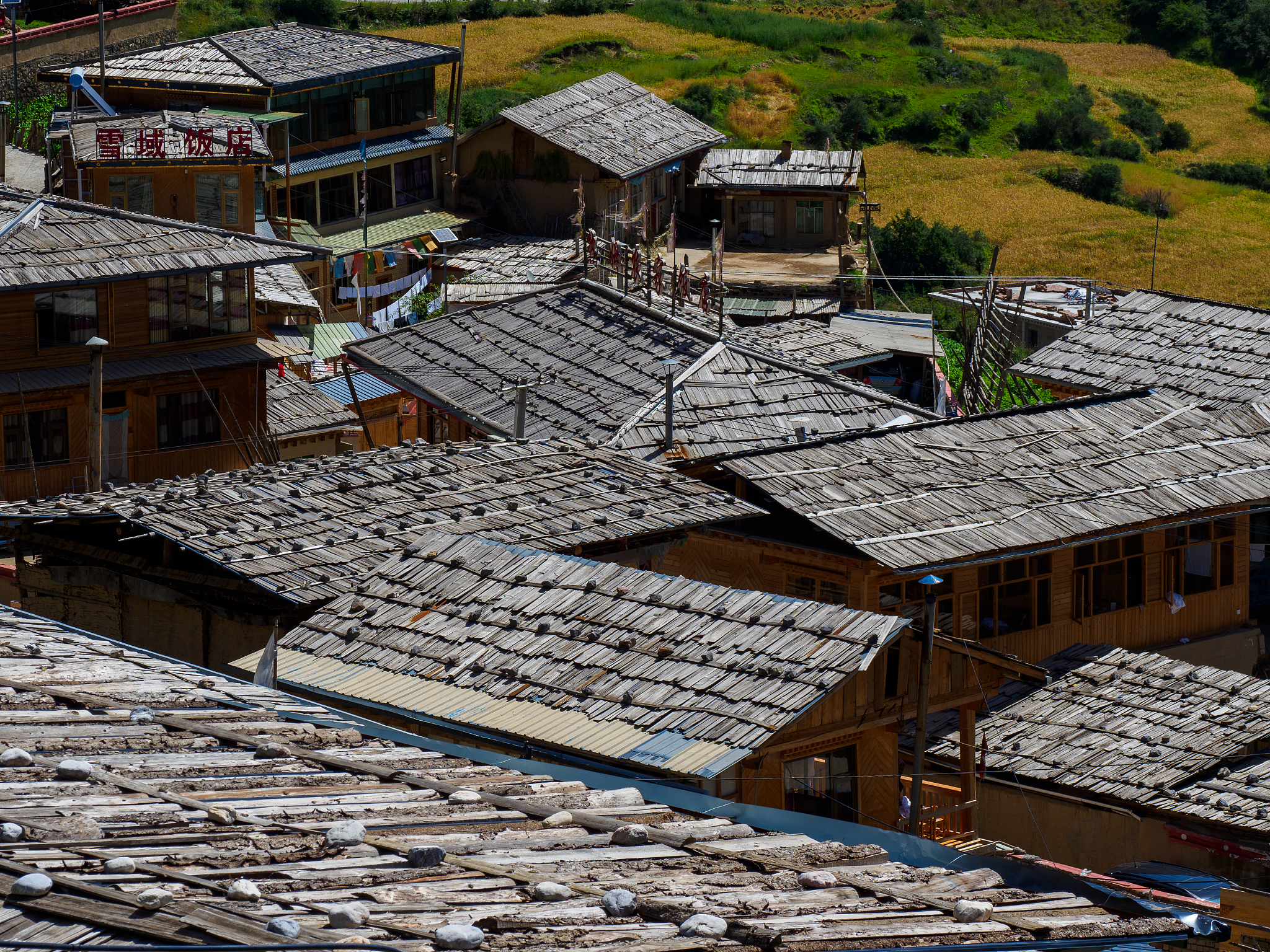 甘南畜牧学校的院校办学层次是什么