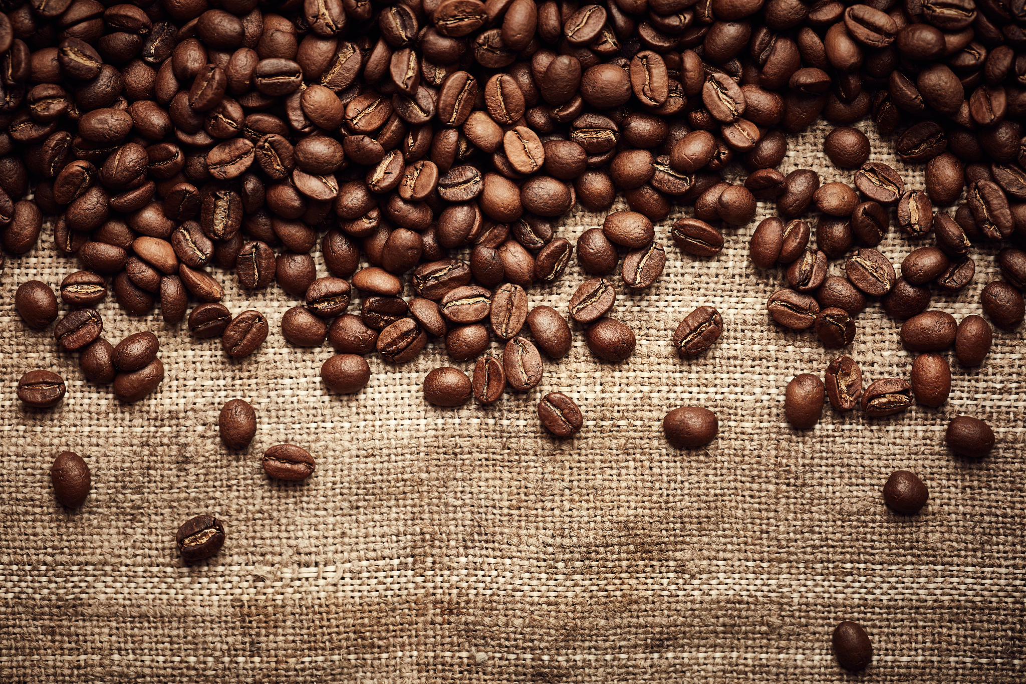 阿拉比卡有哪几种咖啡，