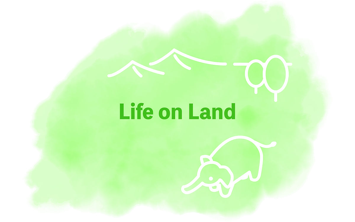 村庄基础设施建设设计说明：提升农村生活品质，促进可持续发展