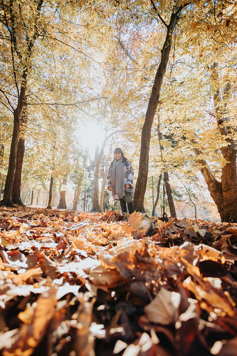 秋日漫步：感受秋天的美好