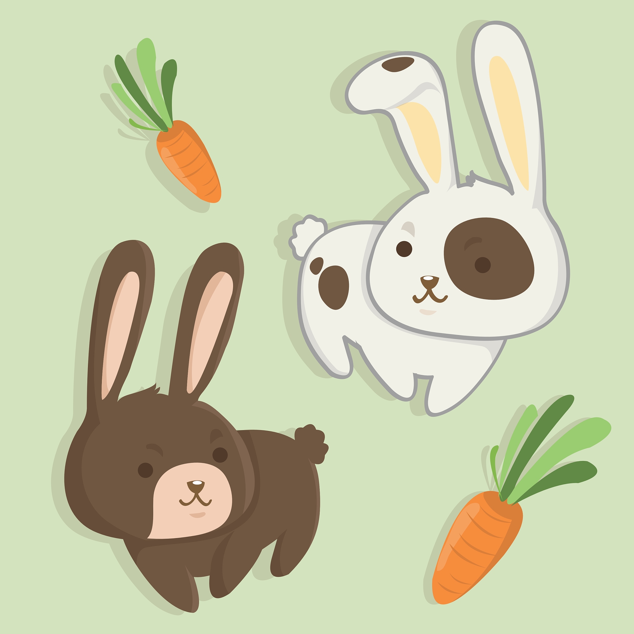 亳州职业技术学院动漫设计与制作专业怎么样