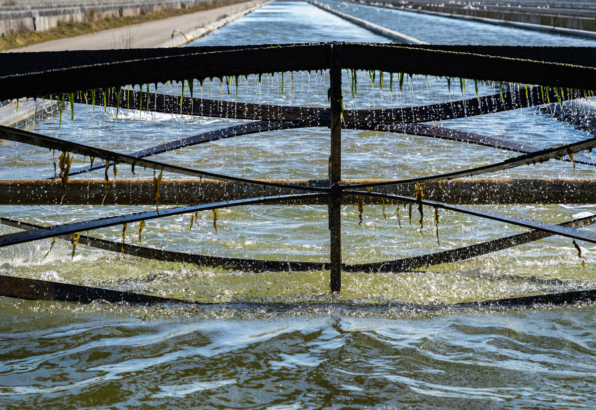 四川水产养殖技术专业招生用发