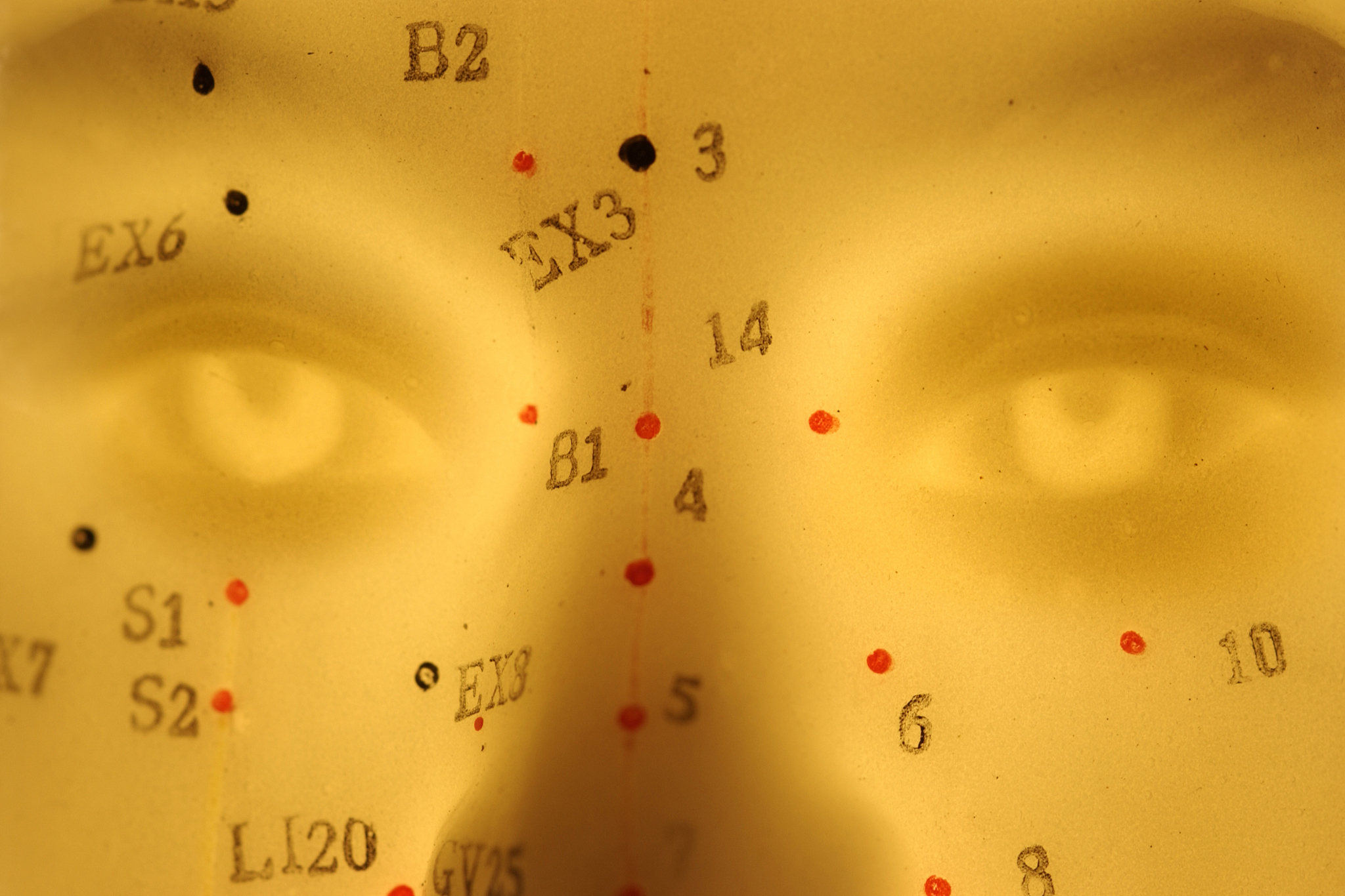 detail of acupuncture model
