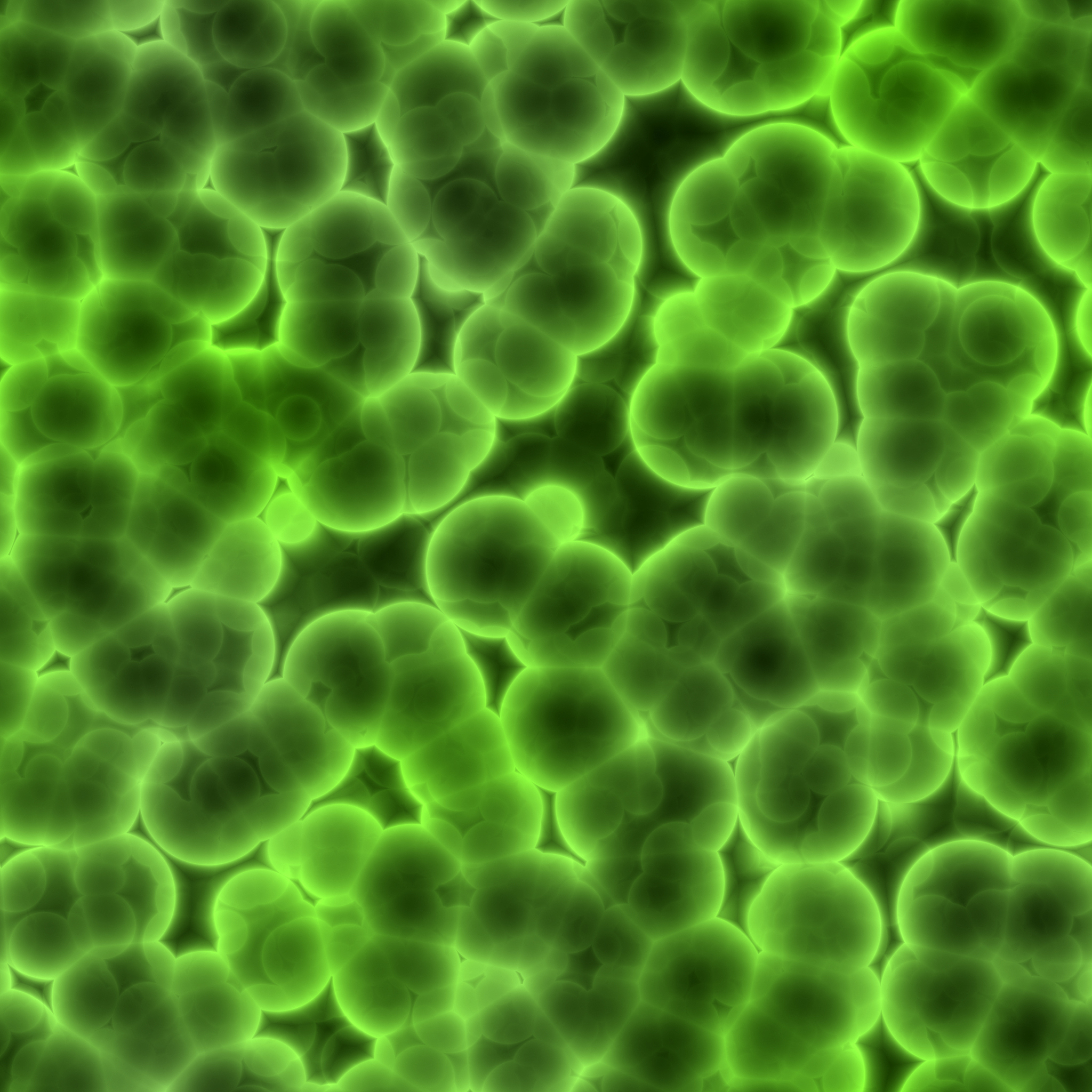 肠球菌属Enterococcus、绿色乳杆菌属Lactobacillus viridescens、片球菌属Pediococ cus