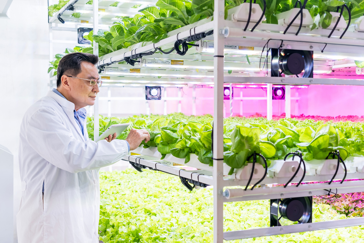 计算机视觉技术在果蔬种植中的应用研究背景