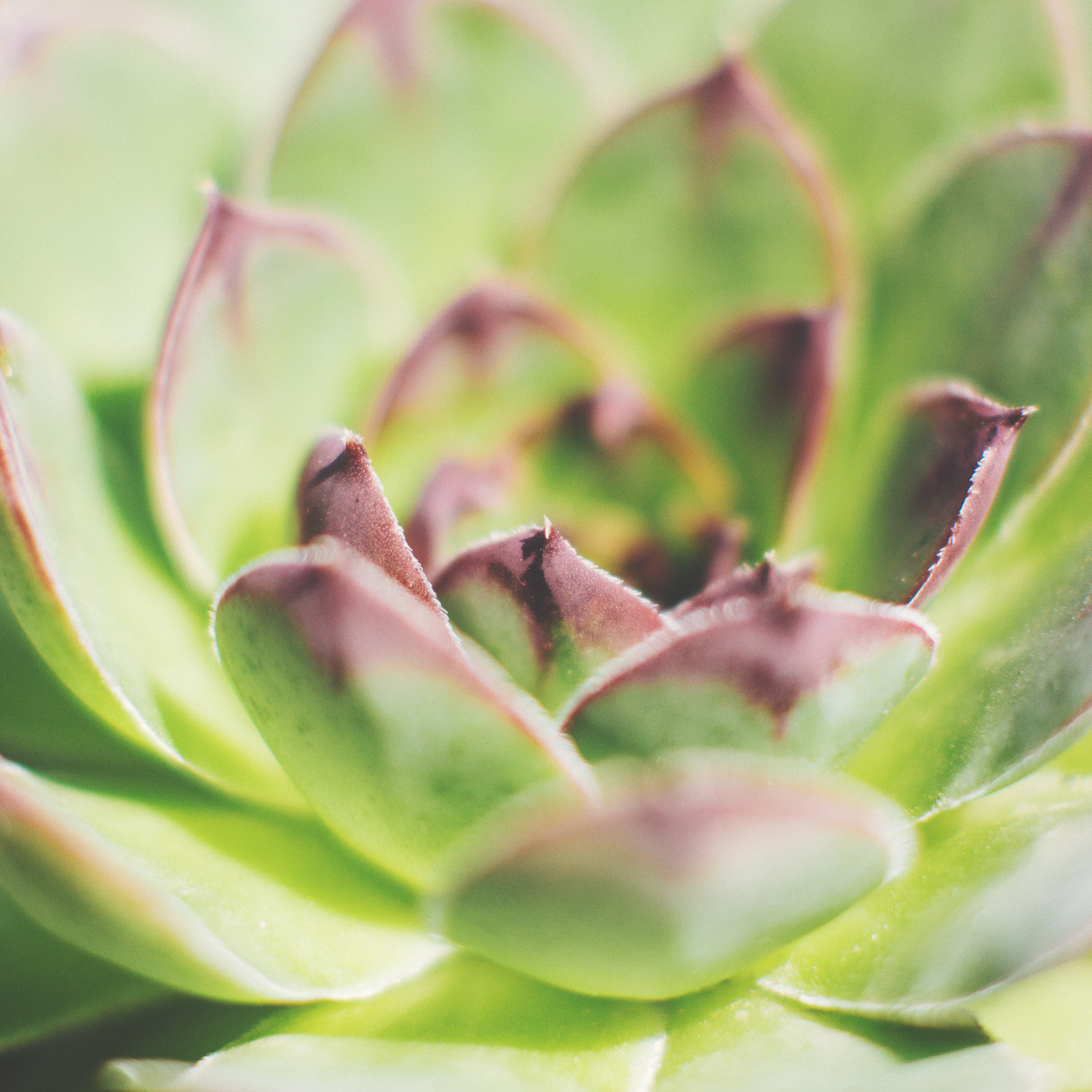 福建农林大学农业资源与环境专业怎么样