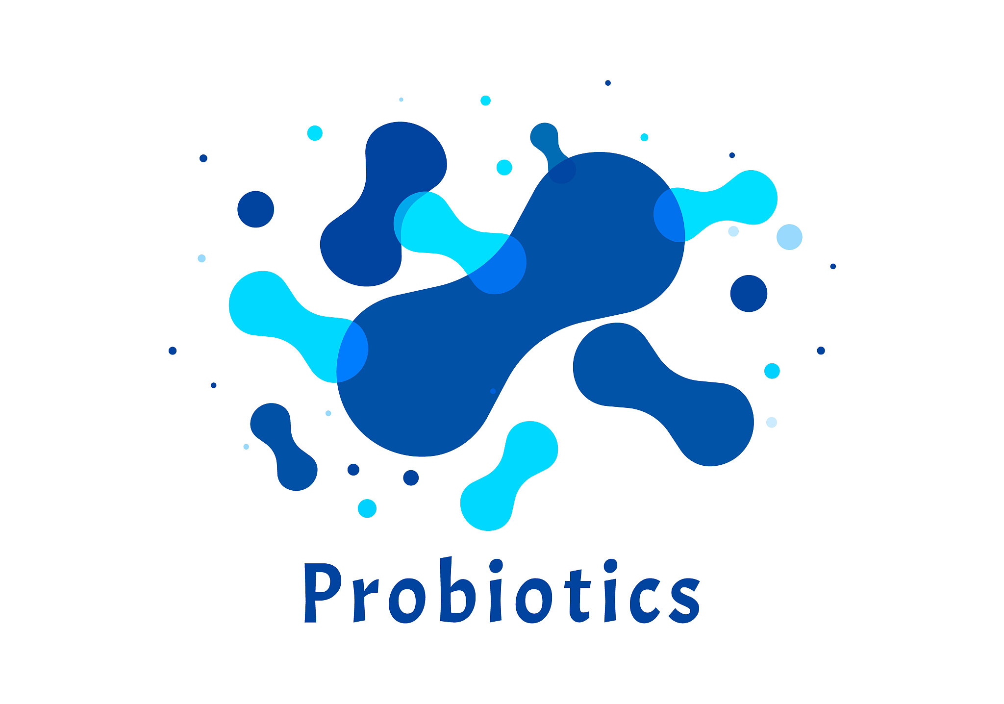 帮我改写这句话双歧杆菌具有多种生理功能包括营养作用、抑菌作用、