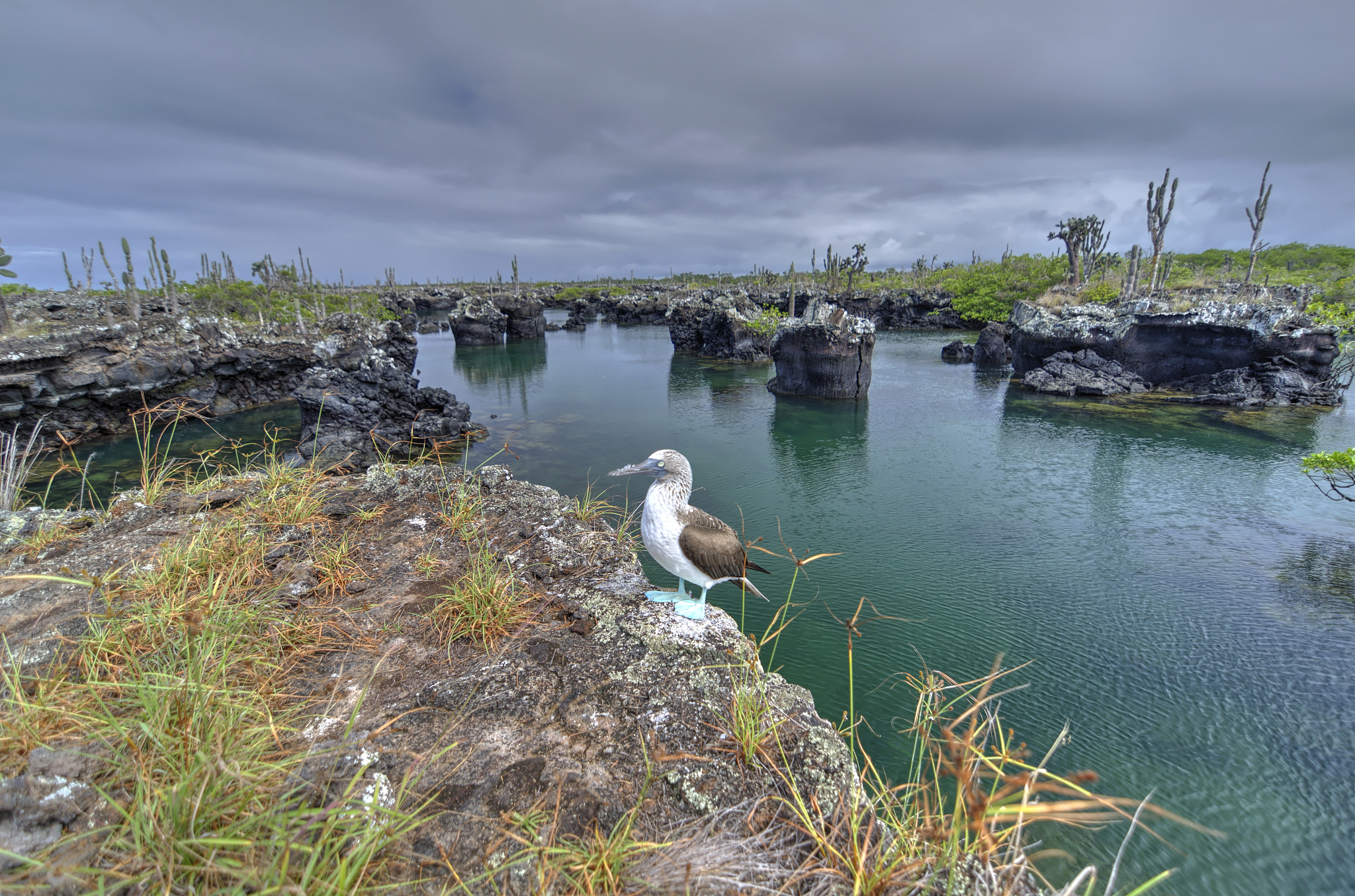 Volunteer Lake Cleaning in Mongolia: A Rewarding Experience