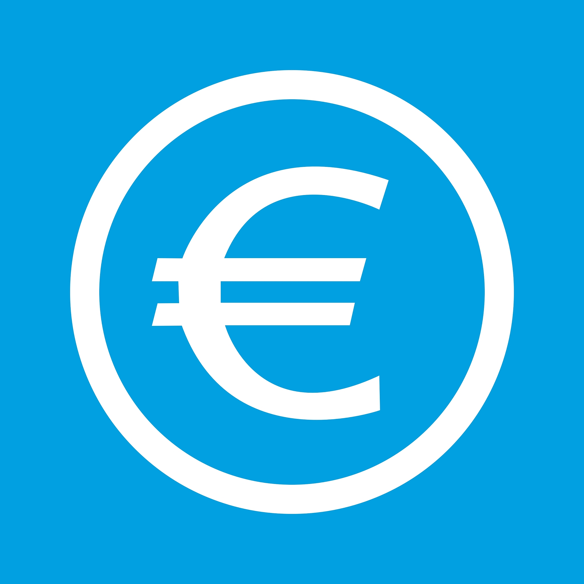 euro sign icon