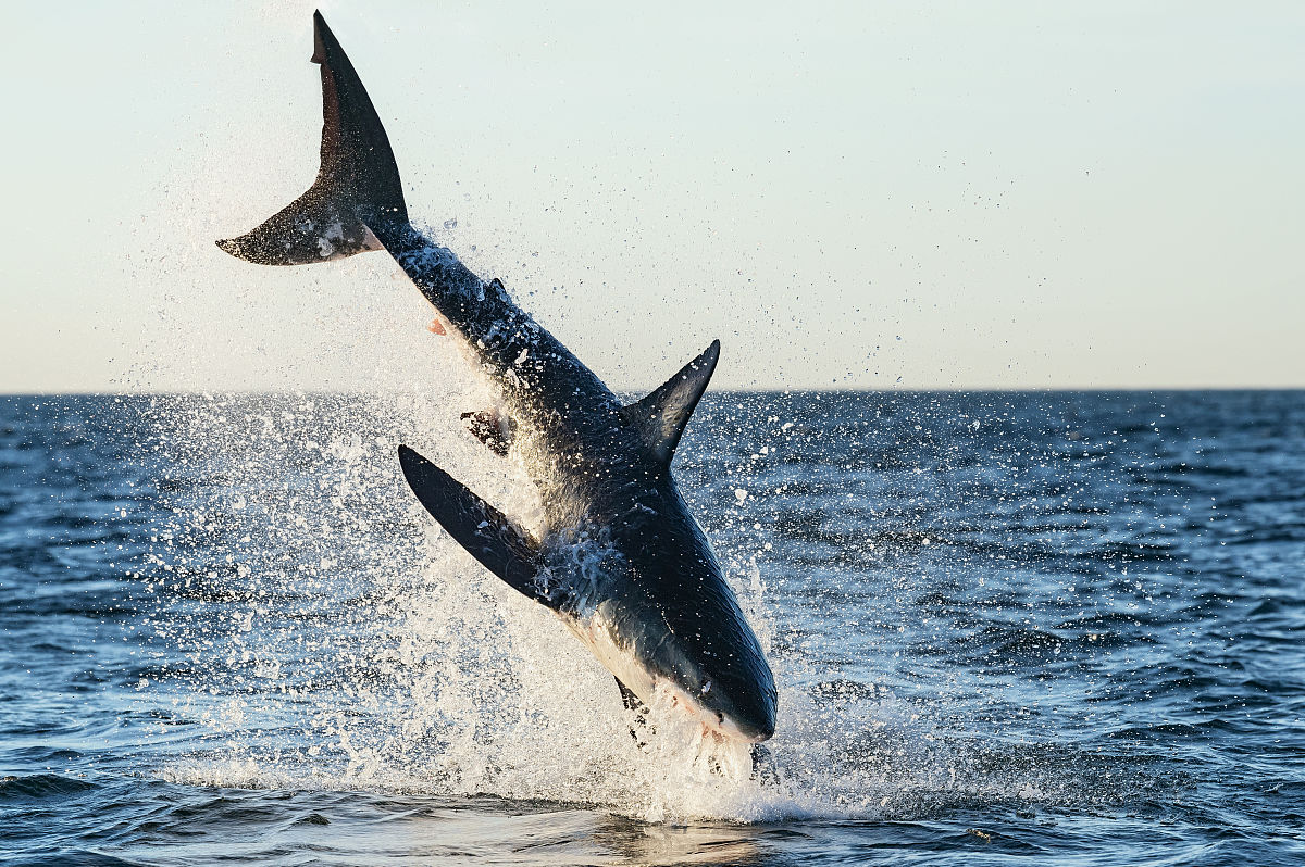 泉州海洋职业学院酒店管理专业专业到底行不行设有哪些课程