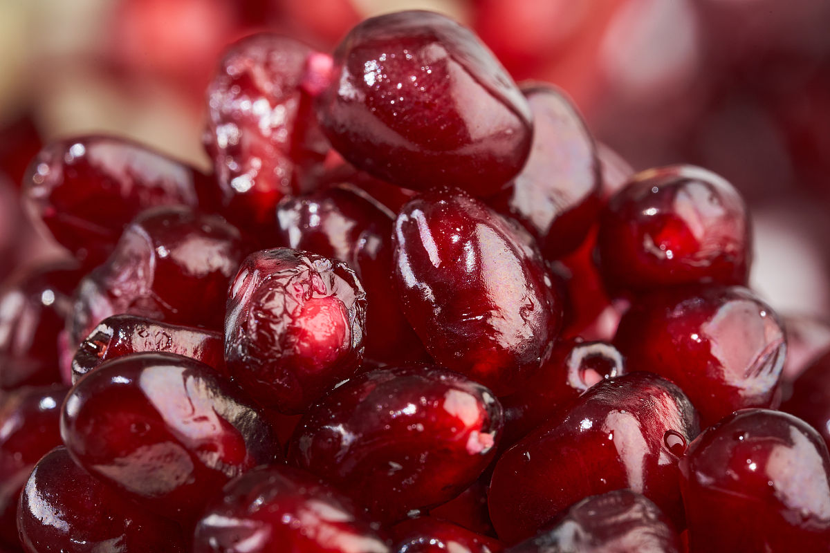 石榴籽一家亲主题演讲决赛：感人故事，传递温暖