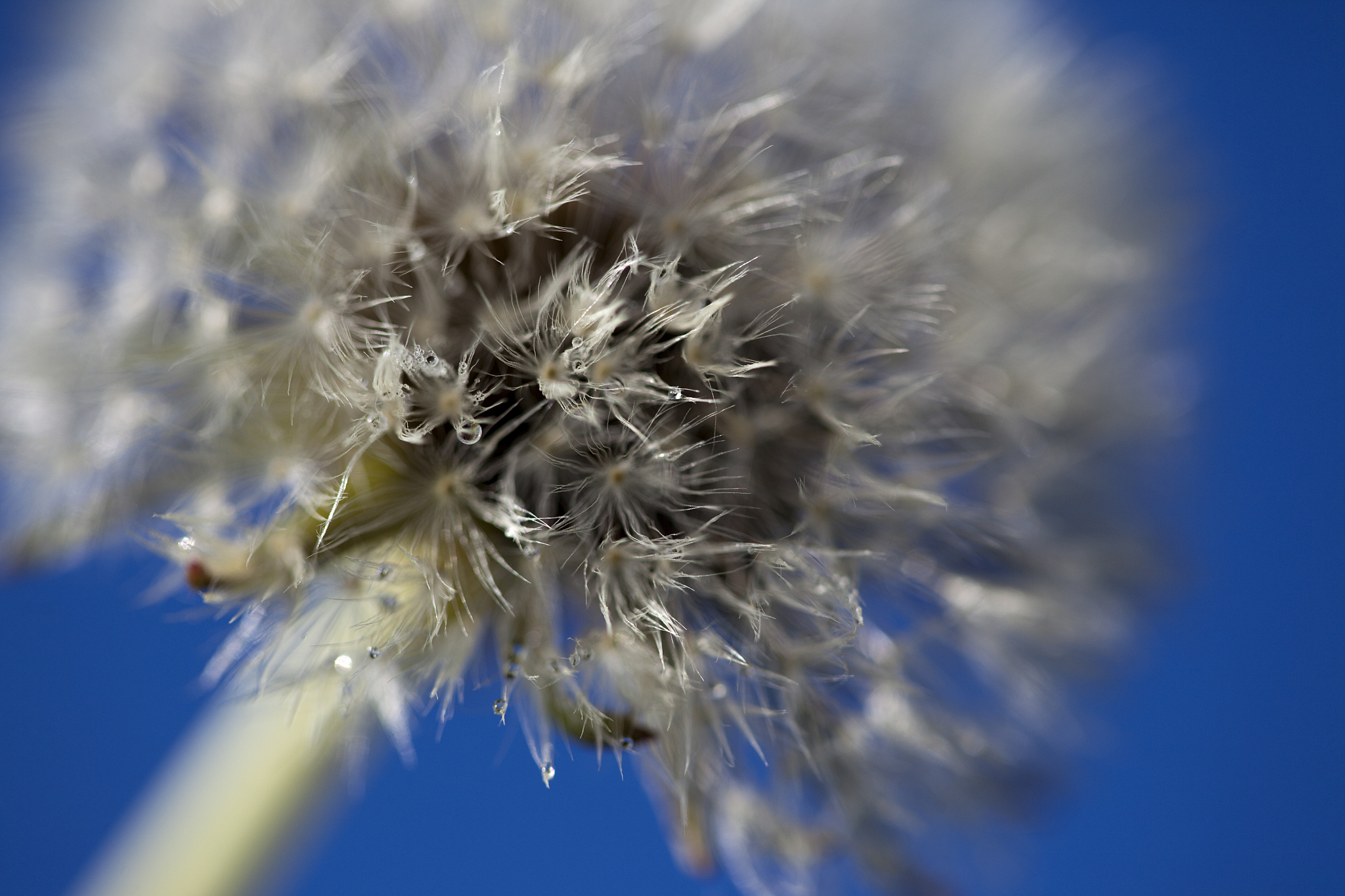 黑龙江生物科技职业学院种子生产与经营联合培养专业专业都学些什么