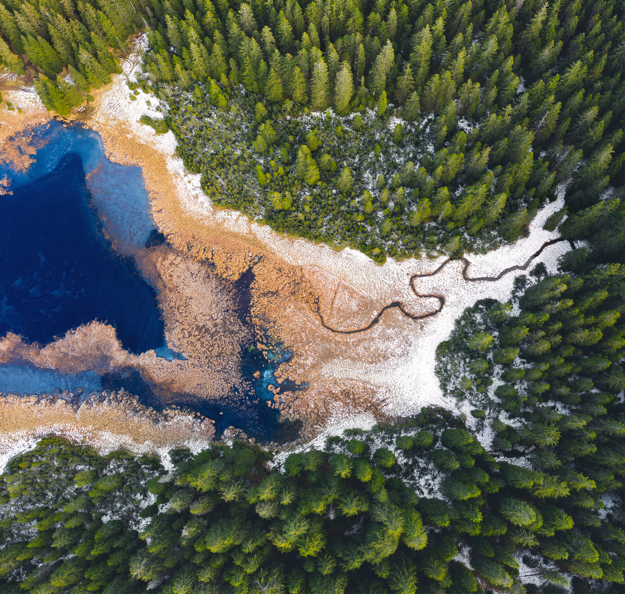 Landscape: Definition and Examples - What Does Landscape Mean?