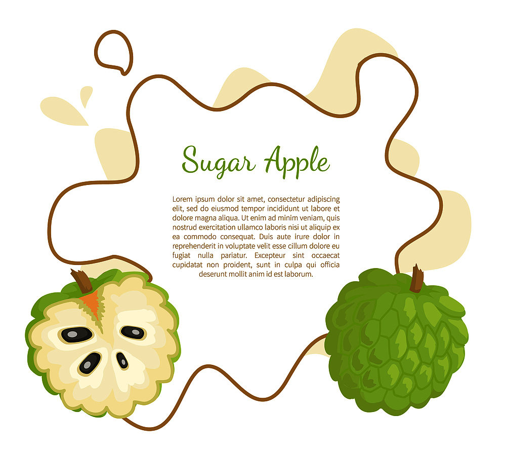 SOP 文档大纲：完整指南与示例