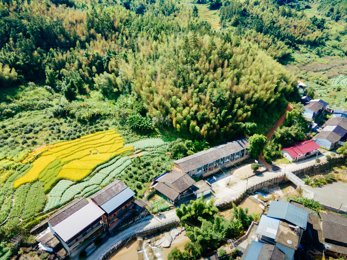 今天,就让我们一起走进重庆的秀山边城,感受那里的乡村新貌,体验土家