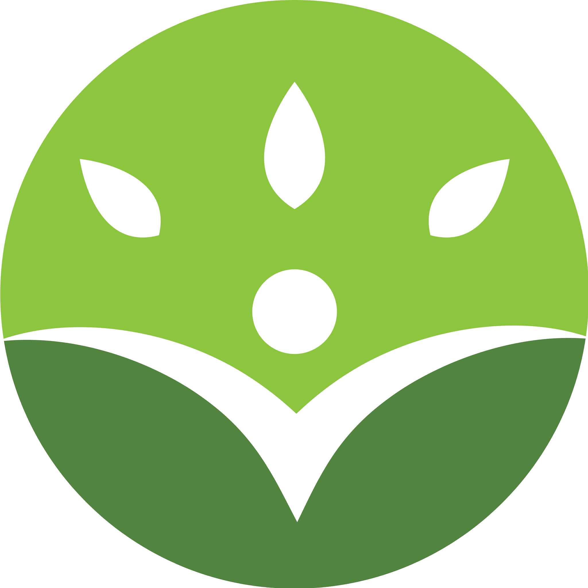 health icon