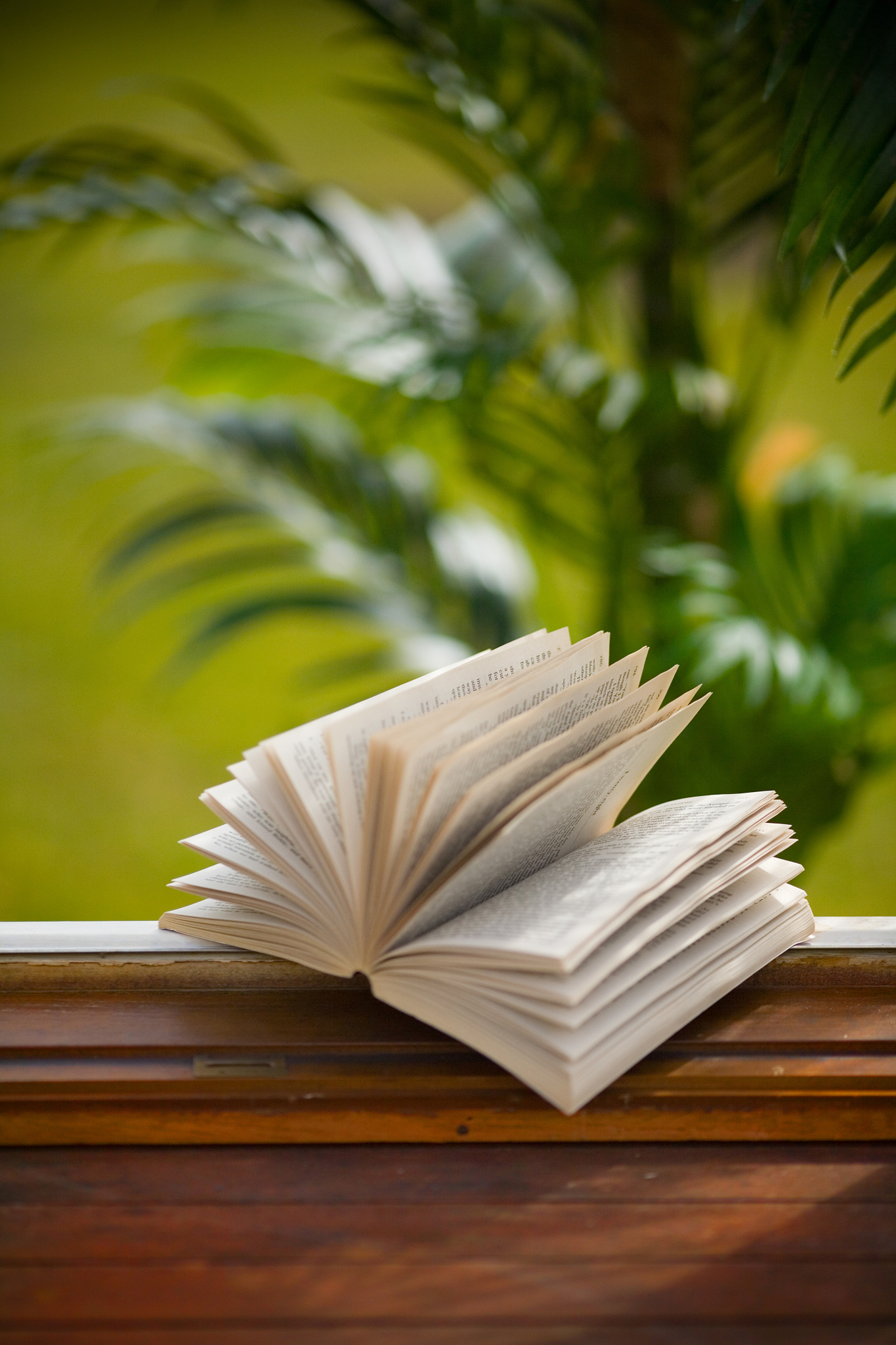 悠然心会：在阅读中寻找宁静与启迪