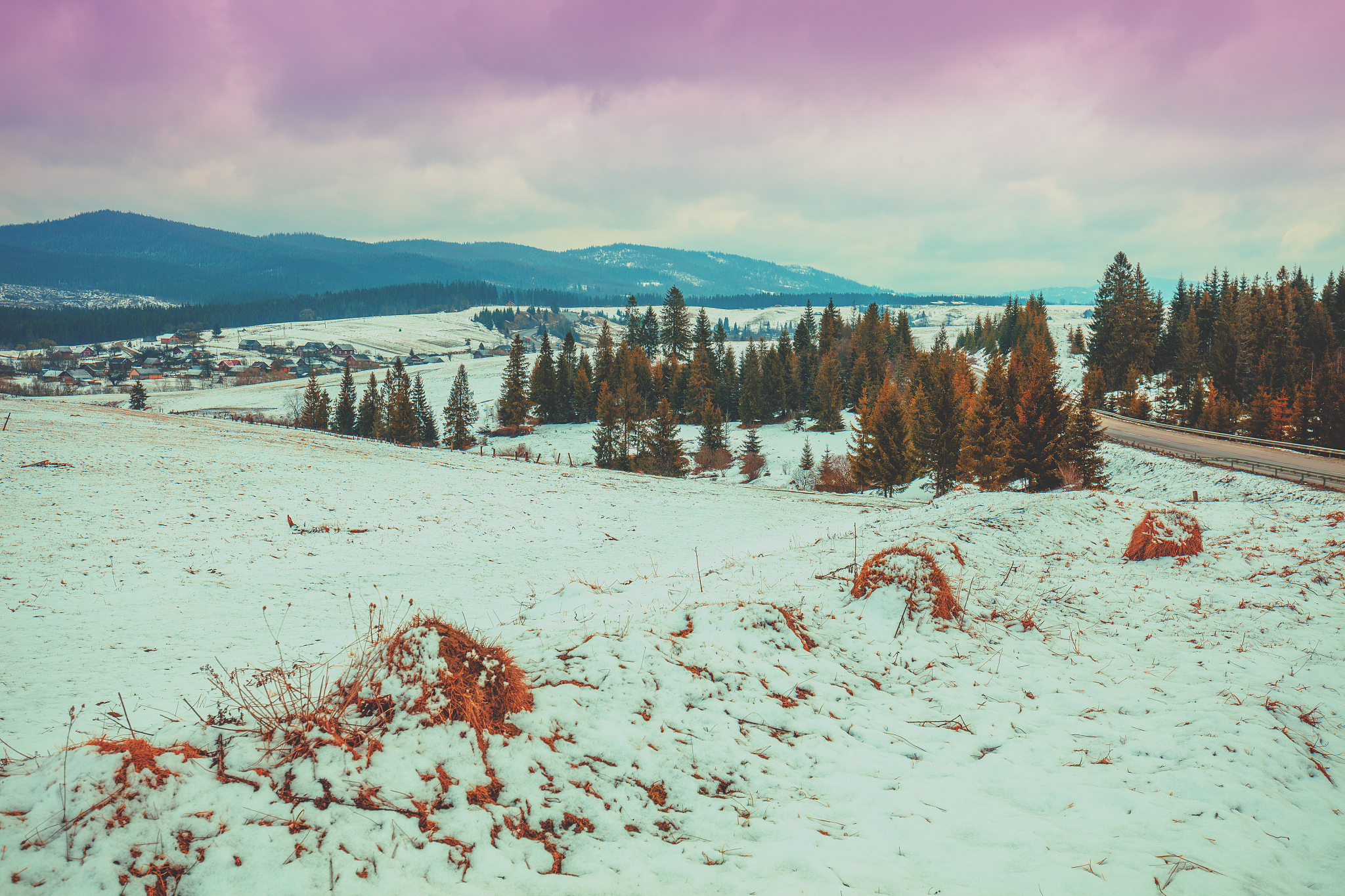 澄城县的冬小麦生长情况并不乐观如何在SCI论文中表述