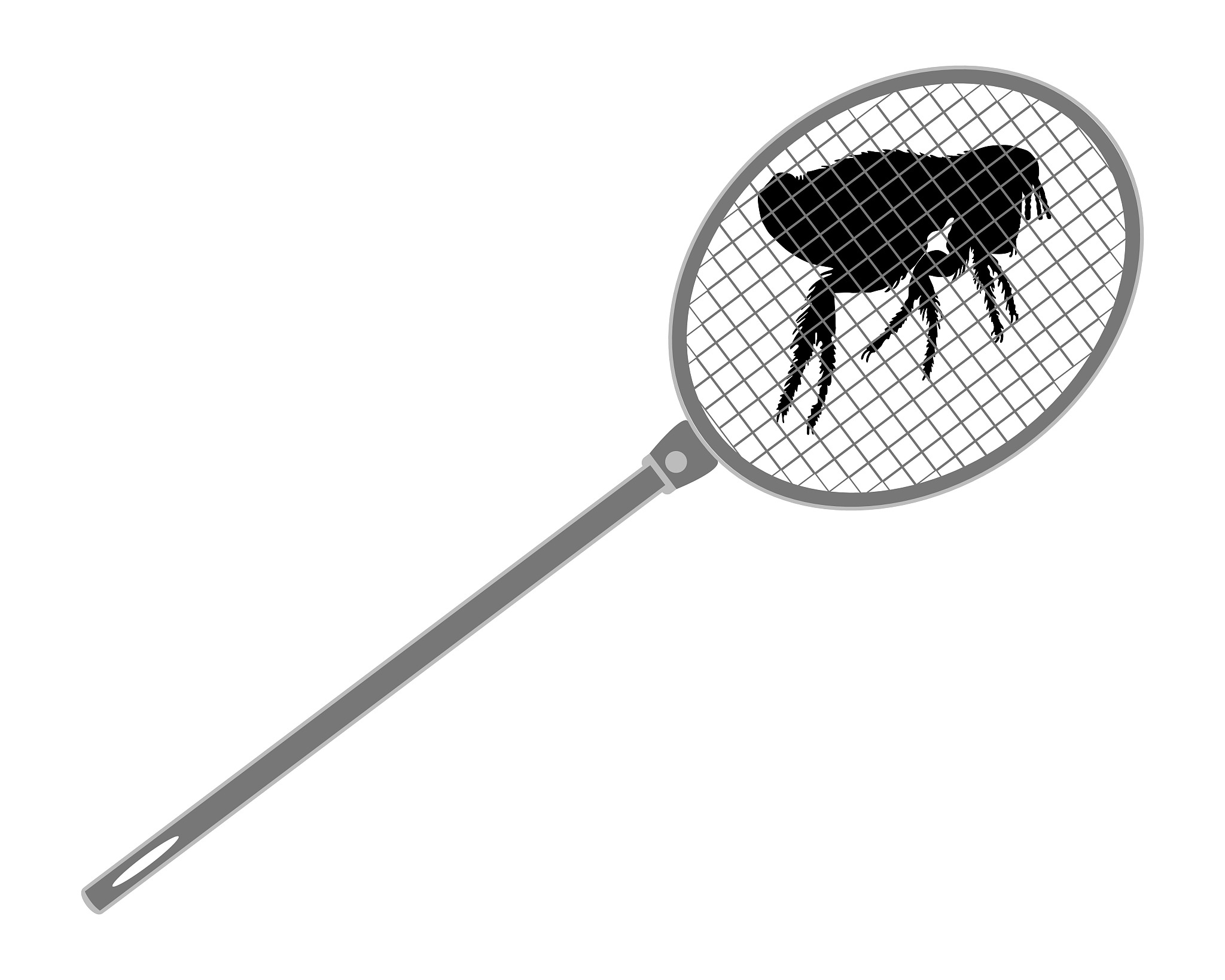 the illustration of a gray fly swatter above a flea
