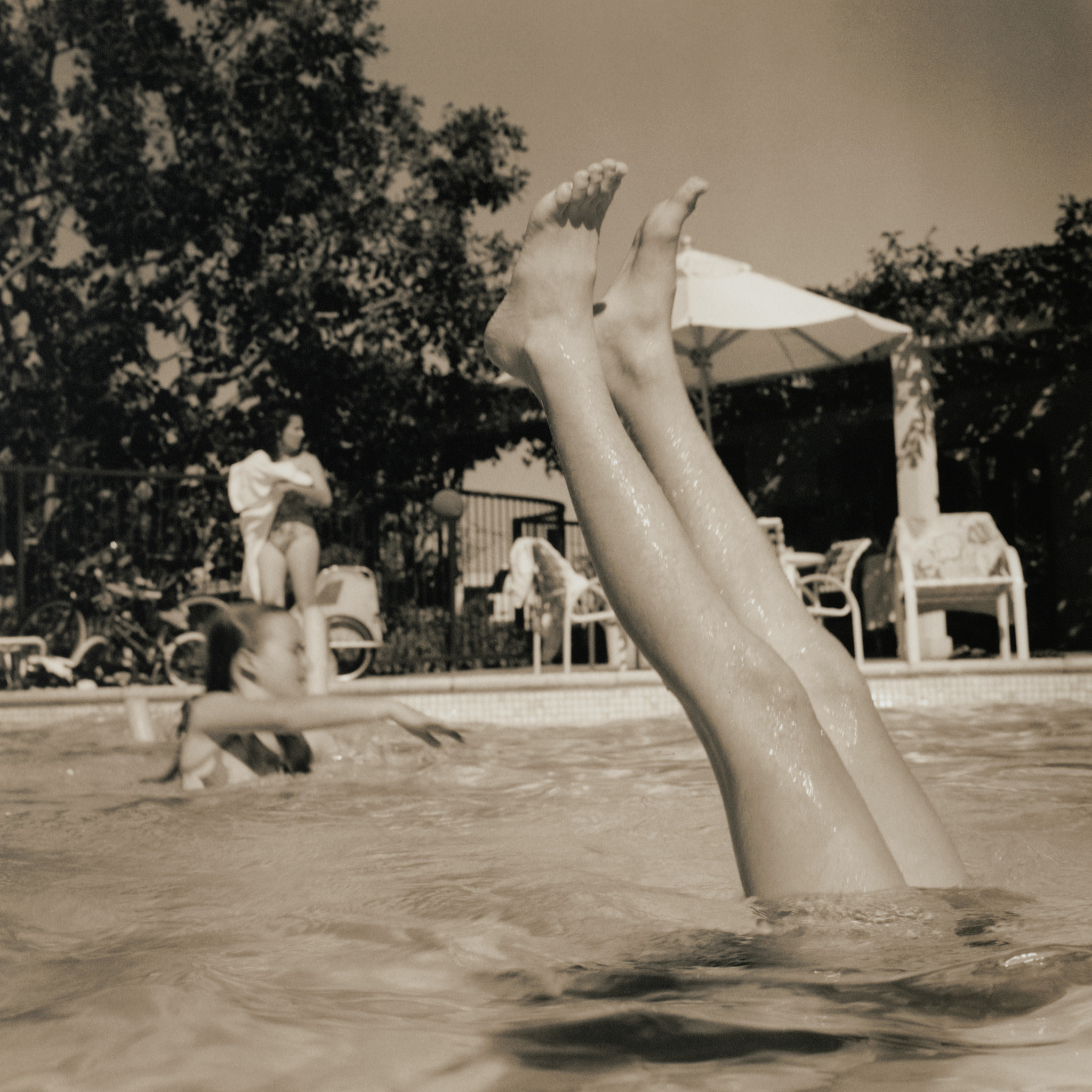 艺术家阿尼戈尼相关论文标题中文