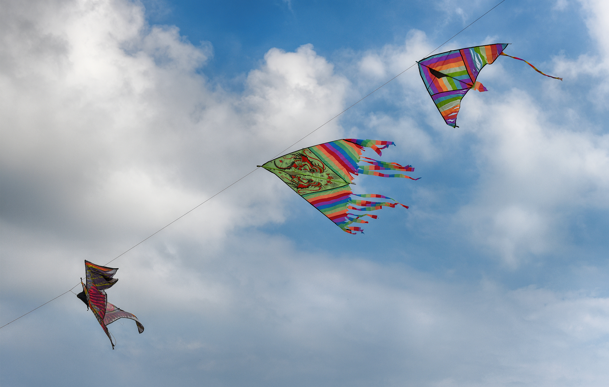 kites flying in the sky