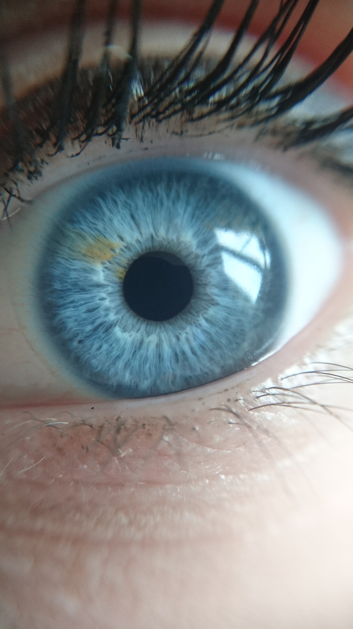 close-up of human eye