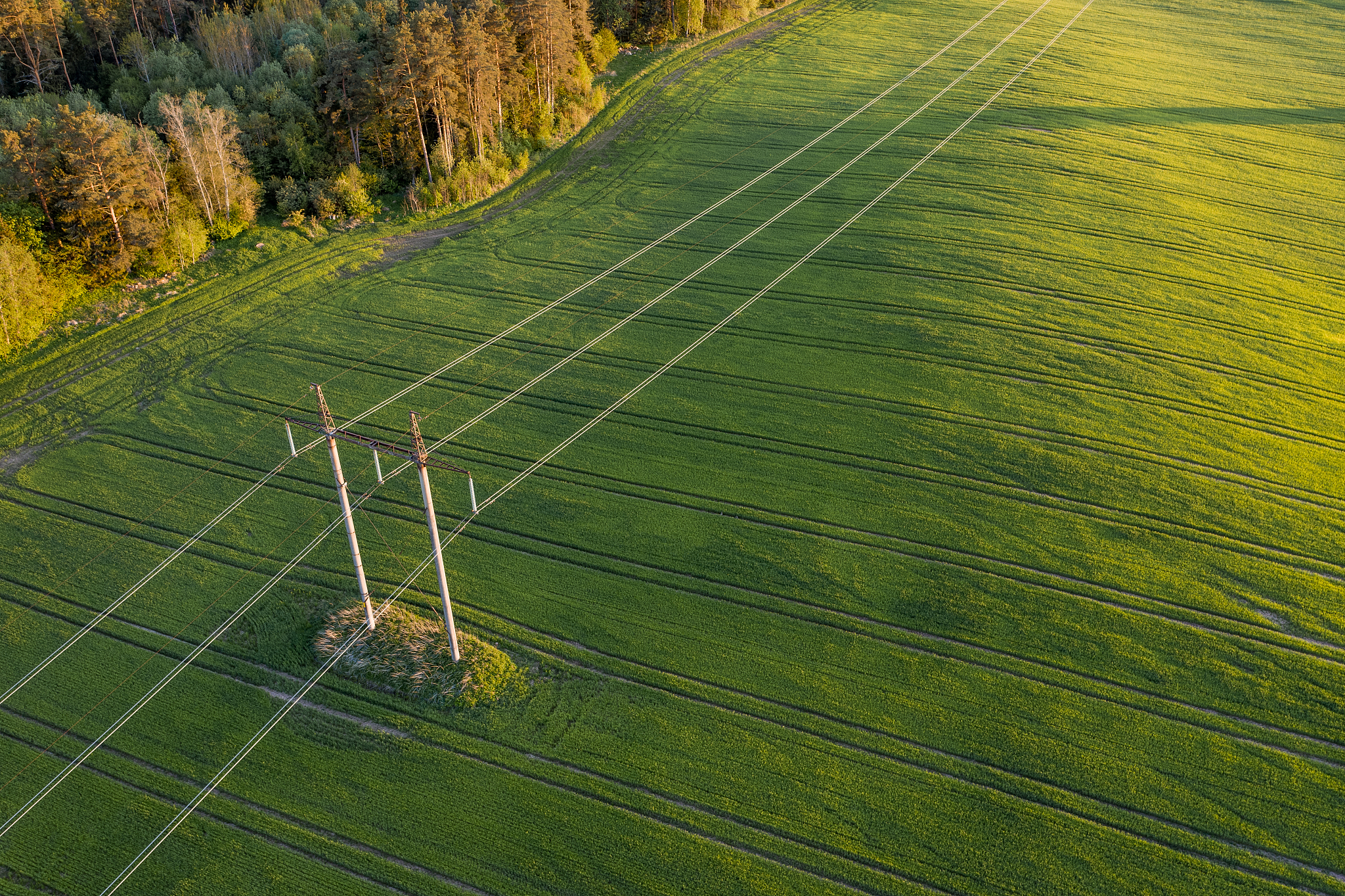 农业大学2023年招生专业用