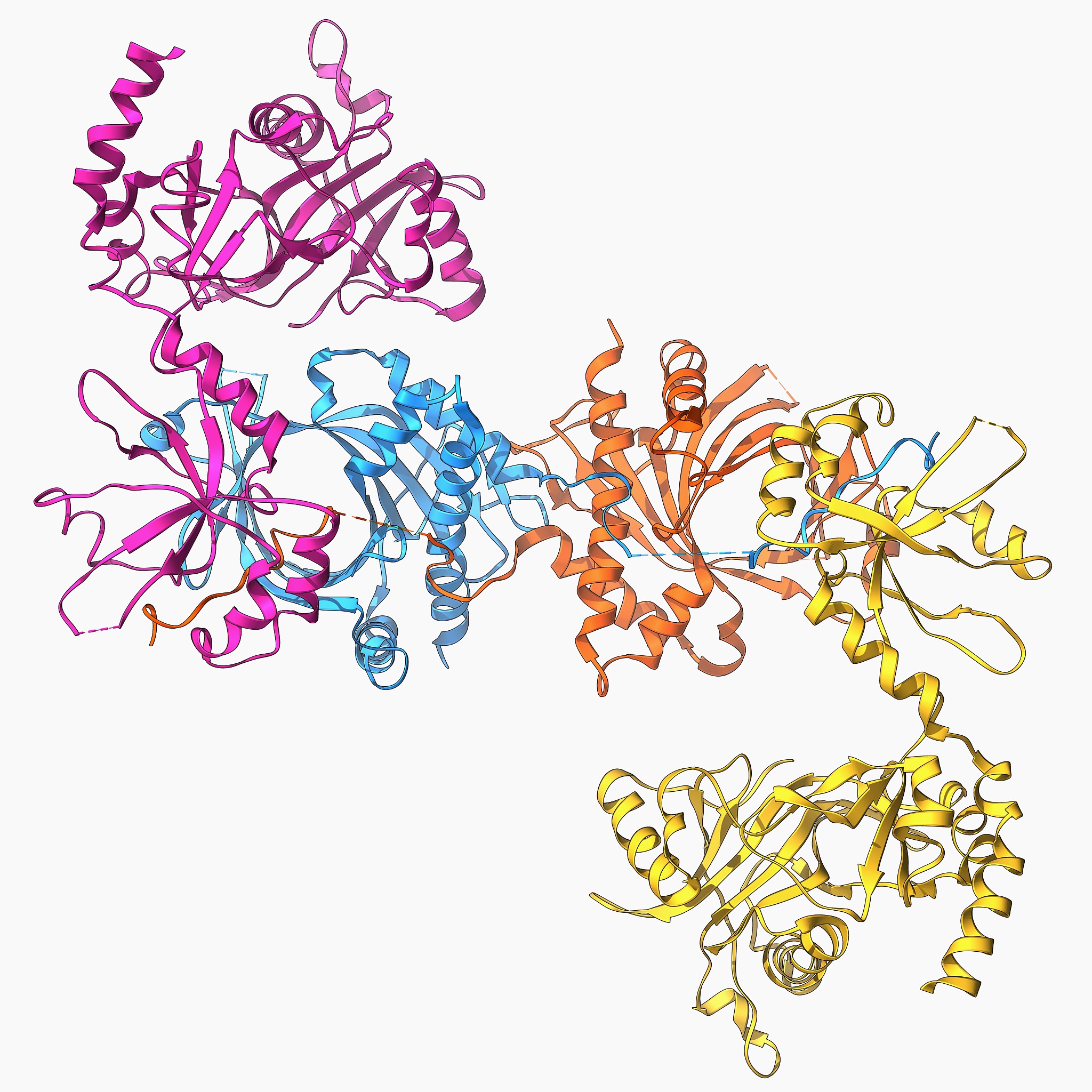 真核生物成熟mRNA：结构、功能与原核生物对比