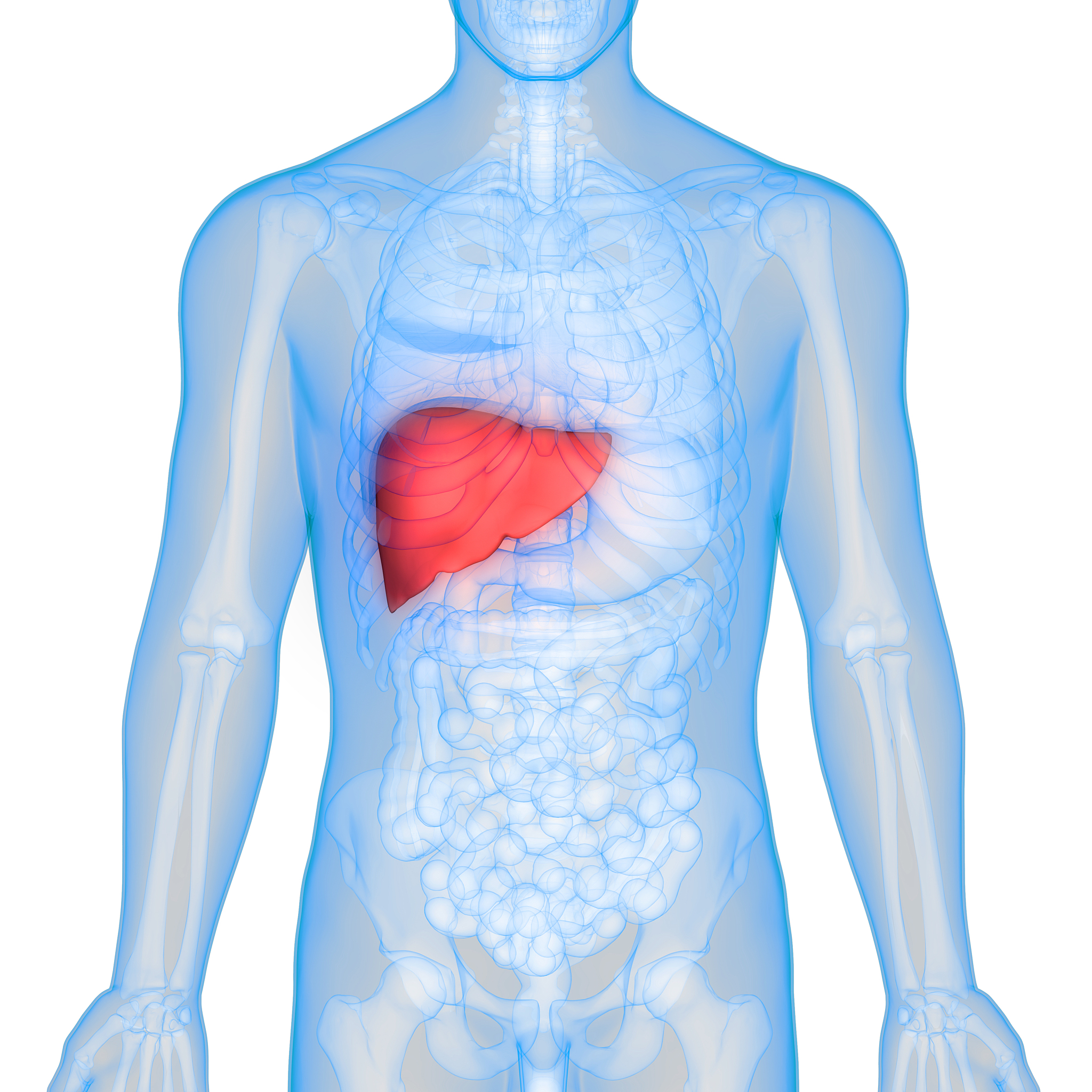 犬胆囊黏液囊肿:常见病症及预防方法 犬胆囊黏液囊肿:常见病症及预防方法