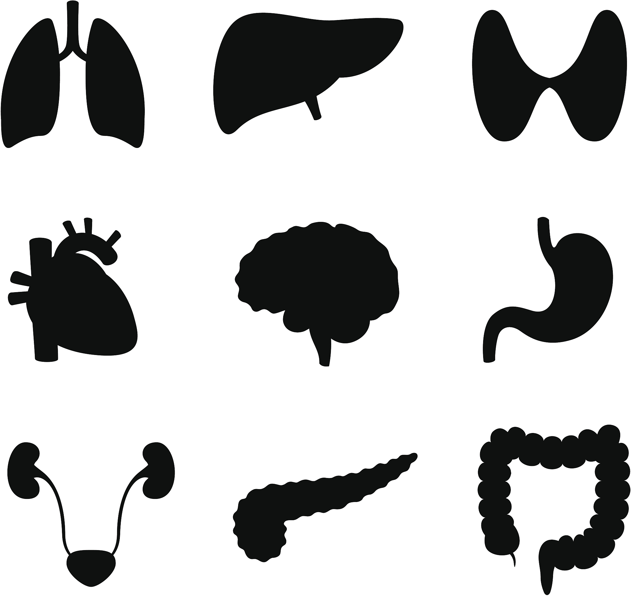 安神健脑液的有效成分在体内停留时间是多久？