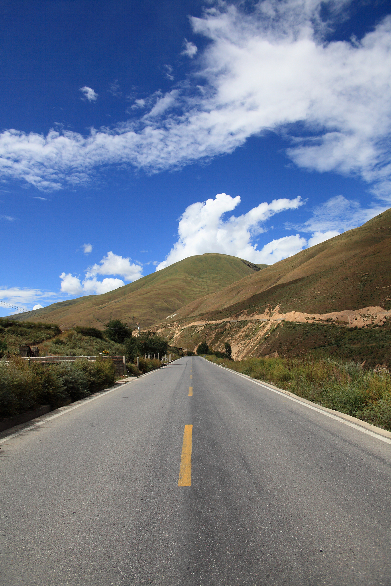 四川省公路职业技术学校2019+交通工程管理专业招生